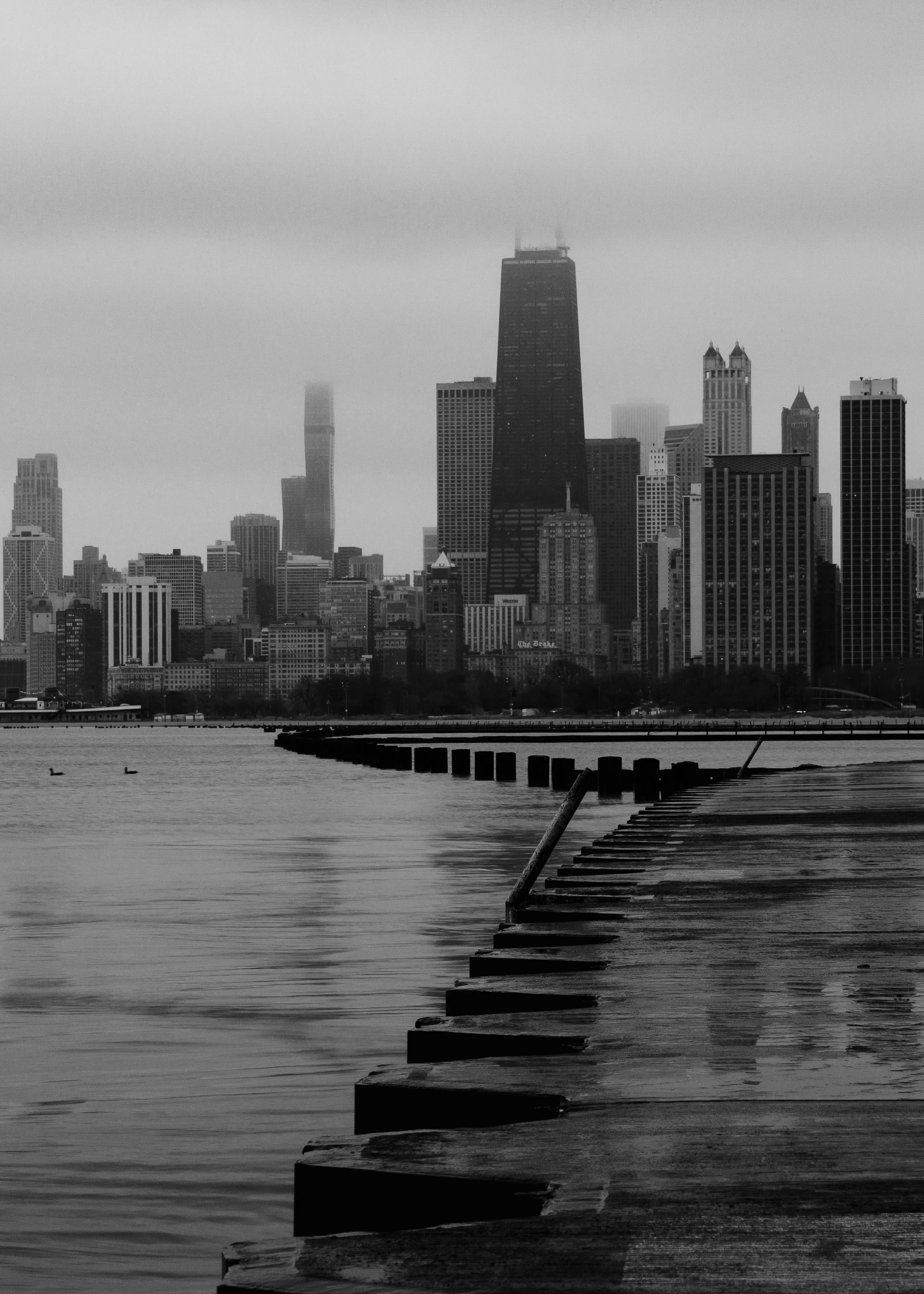 _MG_3960.jpg