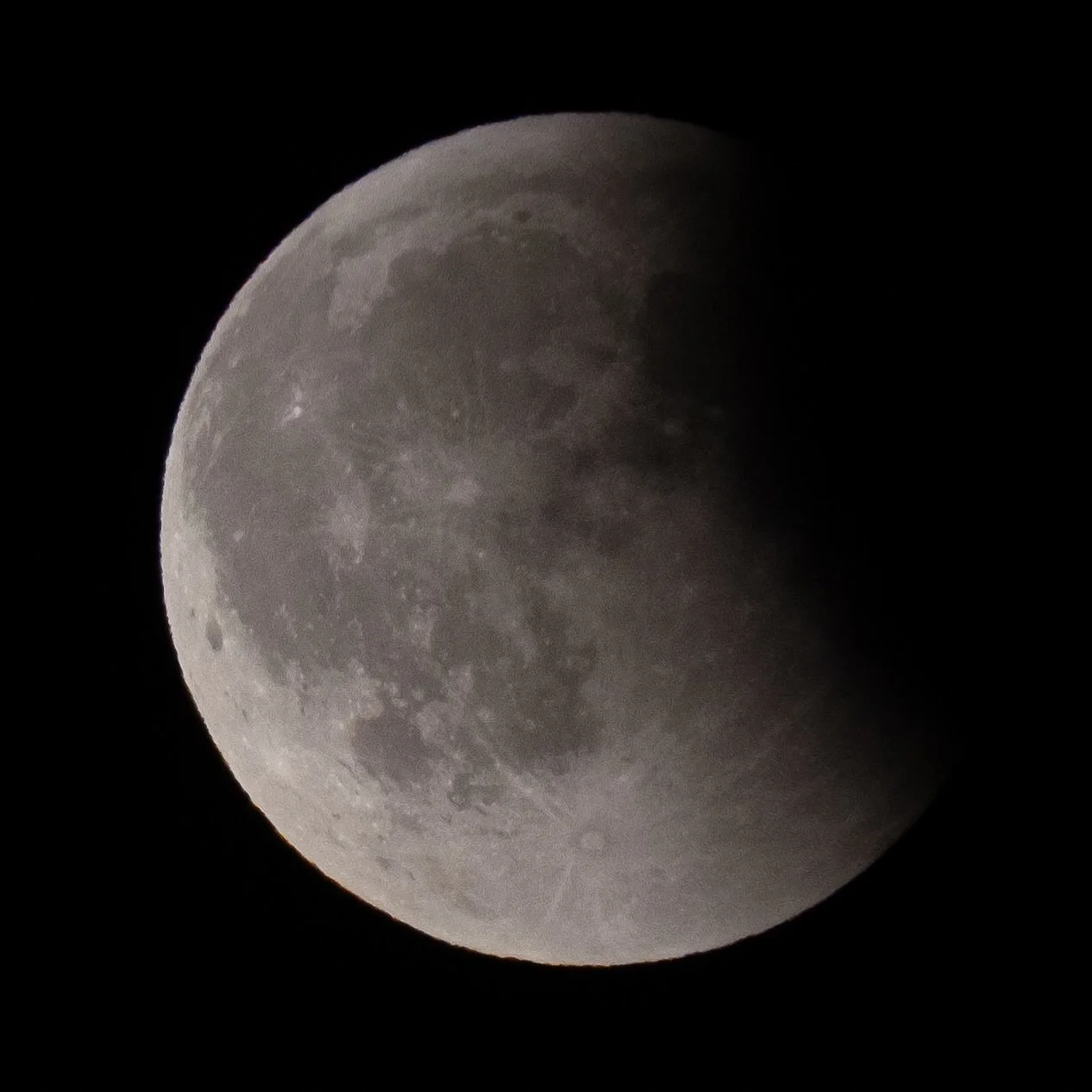 Moon Eclipse (when it eventually popped up).
🌕🌔🌓🌒🌑🌘🌖🌗🌕

@judelloydjohnsonphoto
#bloodmooneclipse