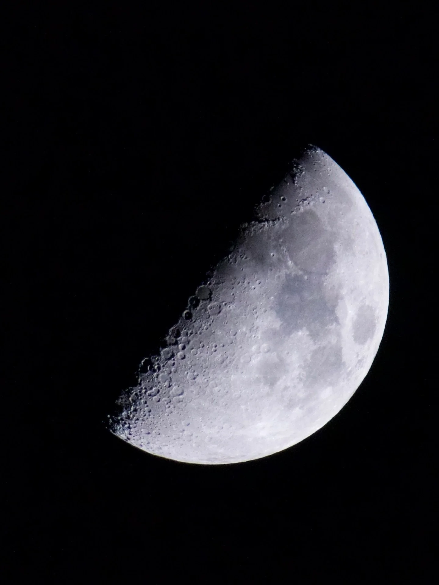 The moon tonight 🌓 
First Quarter Moon 24.02.26