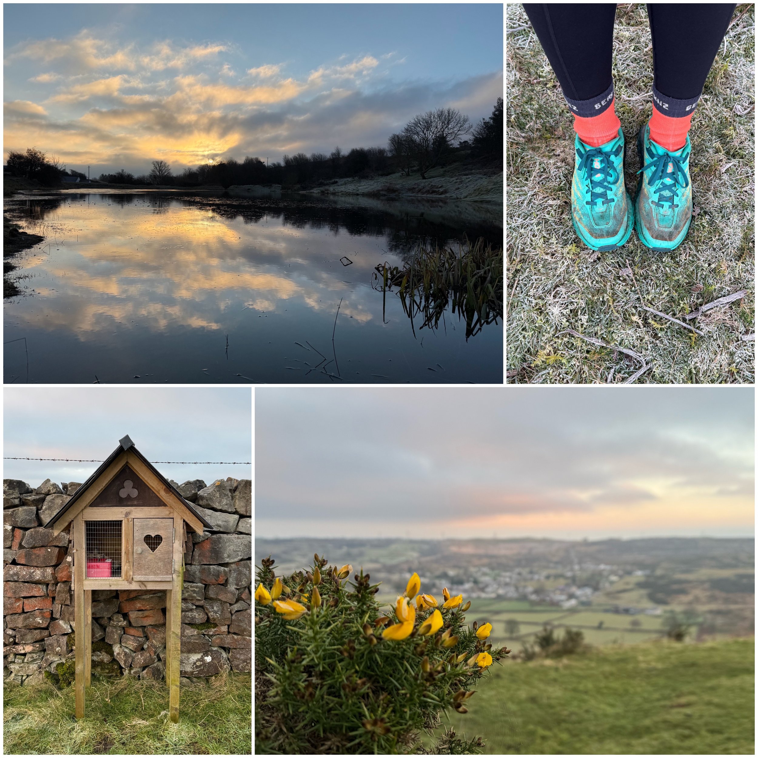 Collage of four outdoor scenes: a river with a sunset, a person’s feet in running shoes and bright orange socks on frosty grass, a wooden birdhouse against a stone wall, and yellow flowers overlooking a distant landscape.