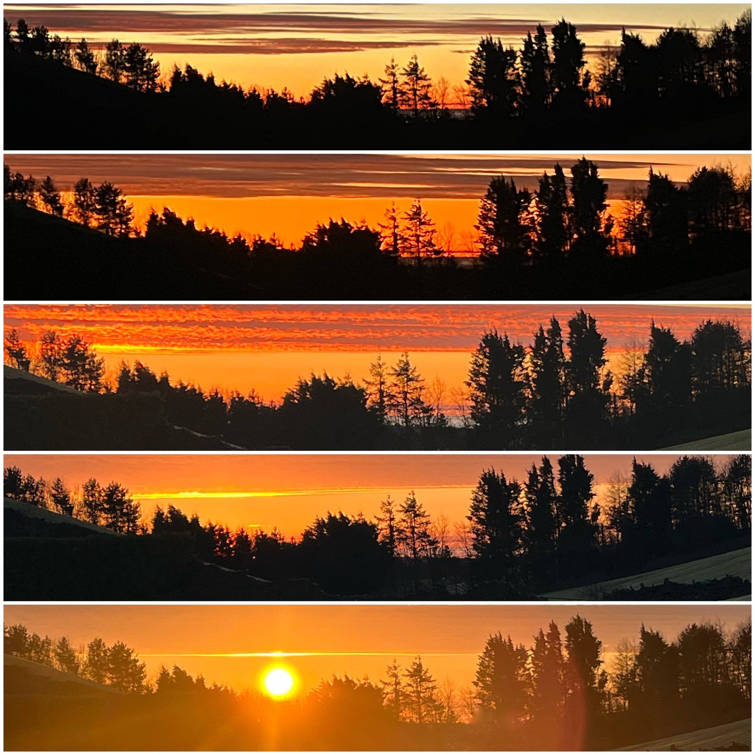 Sequence of five photos showing a sunset over a silhouette of trees, with the sun gradually setting lower in the sky and changing colors from blue and pink to deep orange and yellow.