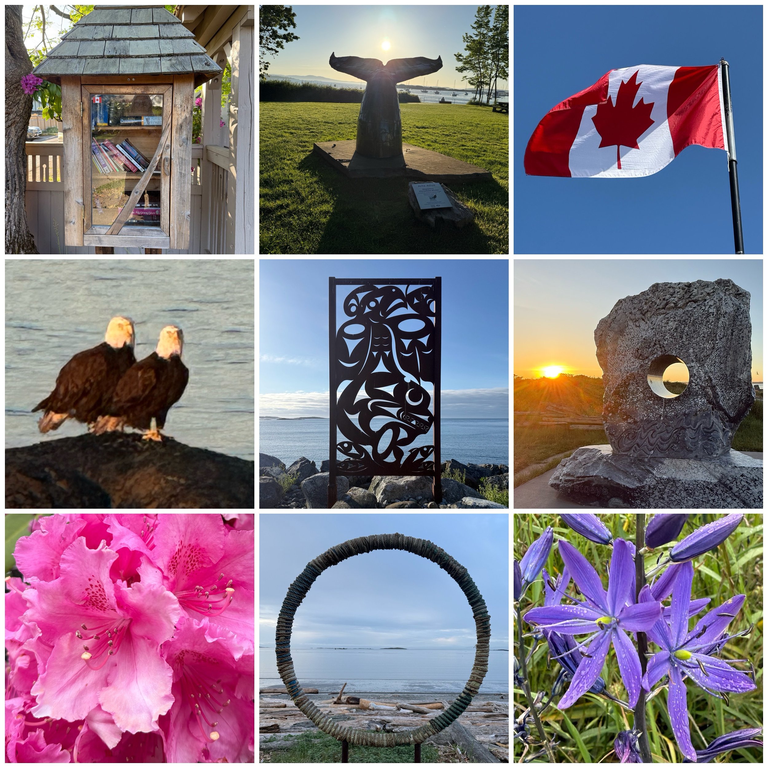 A collage of nine photos showcasing various outdoor and artistic scenes, including a wooden miniature library, whale sculpture at sunset, Canadian flag, two bald eagles on rocks, an intricate metal sculpture overlooking the water, a stone sculpture w