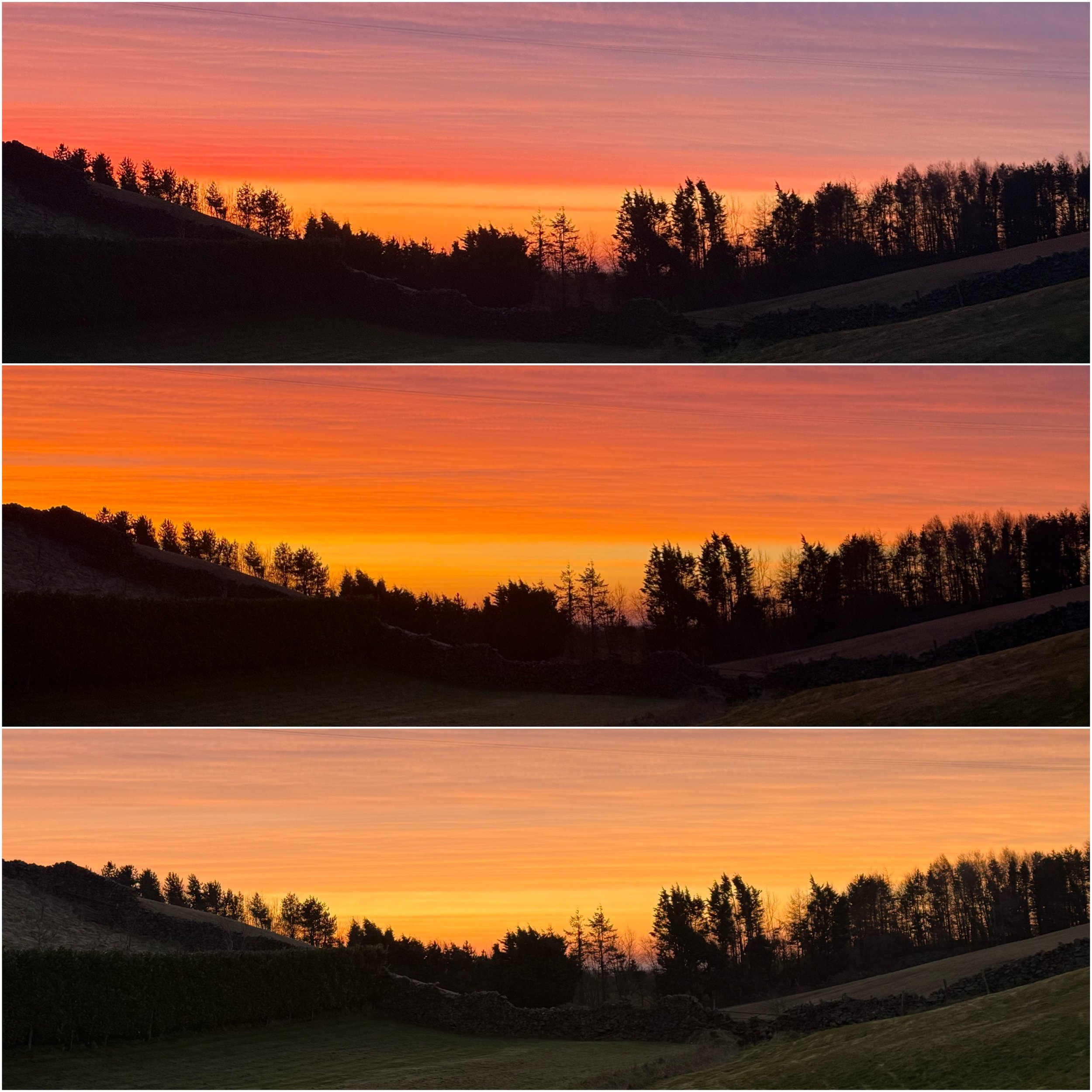 Three panoramic shots of a sunset over a landscape with silhouetted trees and hills, showcasing changing colors from purple and pink to orange and yellow.