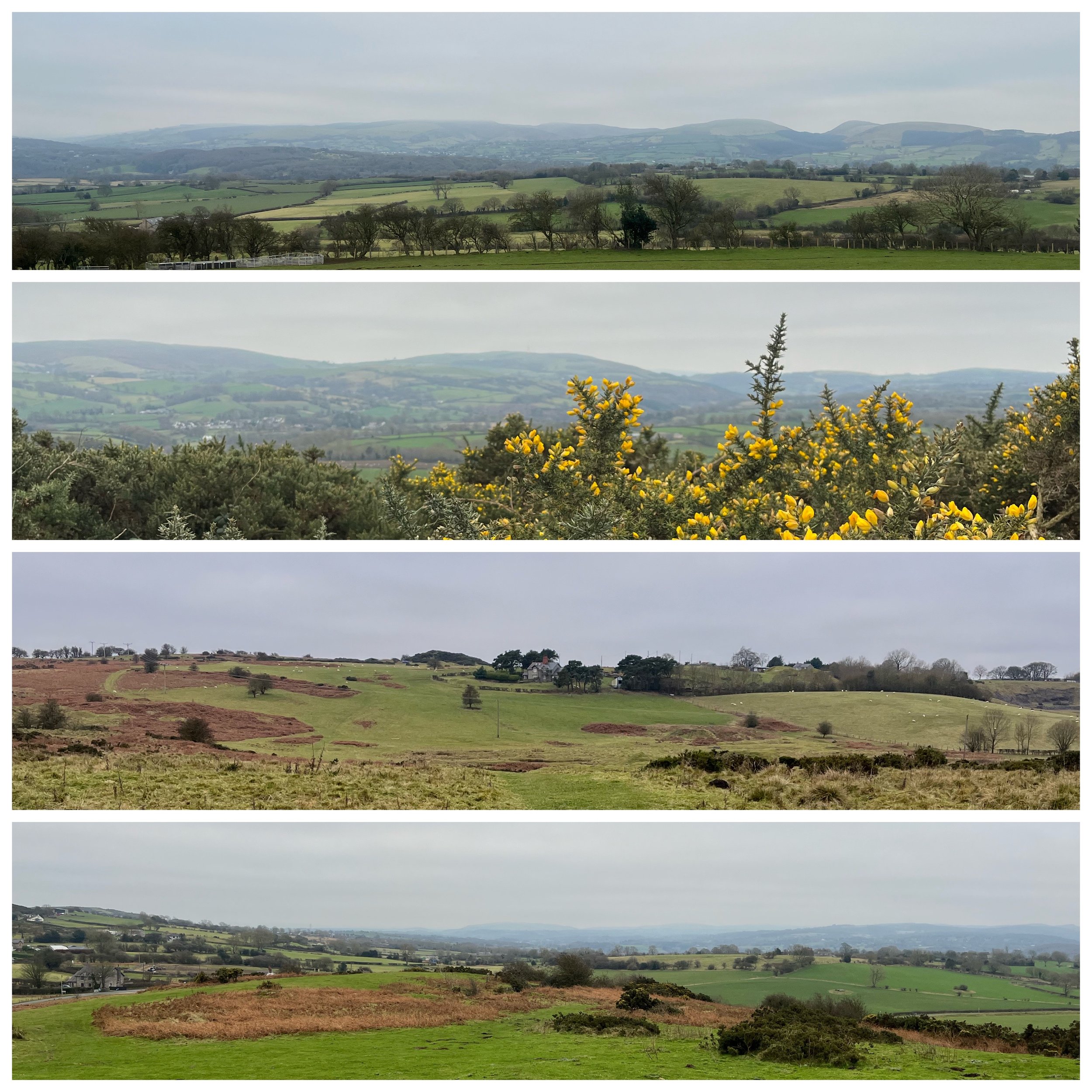 Series of four landscape photos showing rolling hills, fields, trees, and distant mountains under overcast sky.