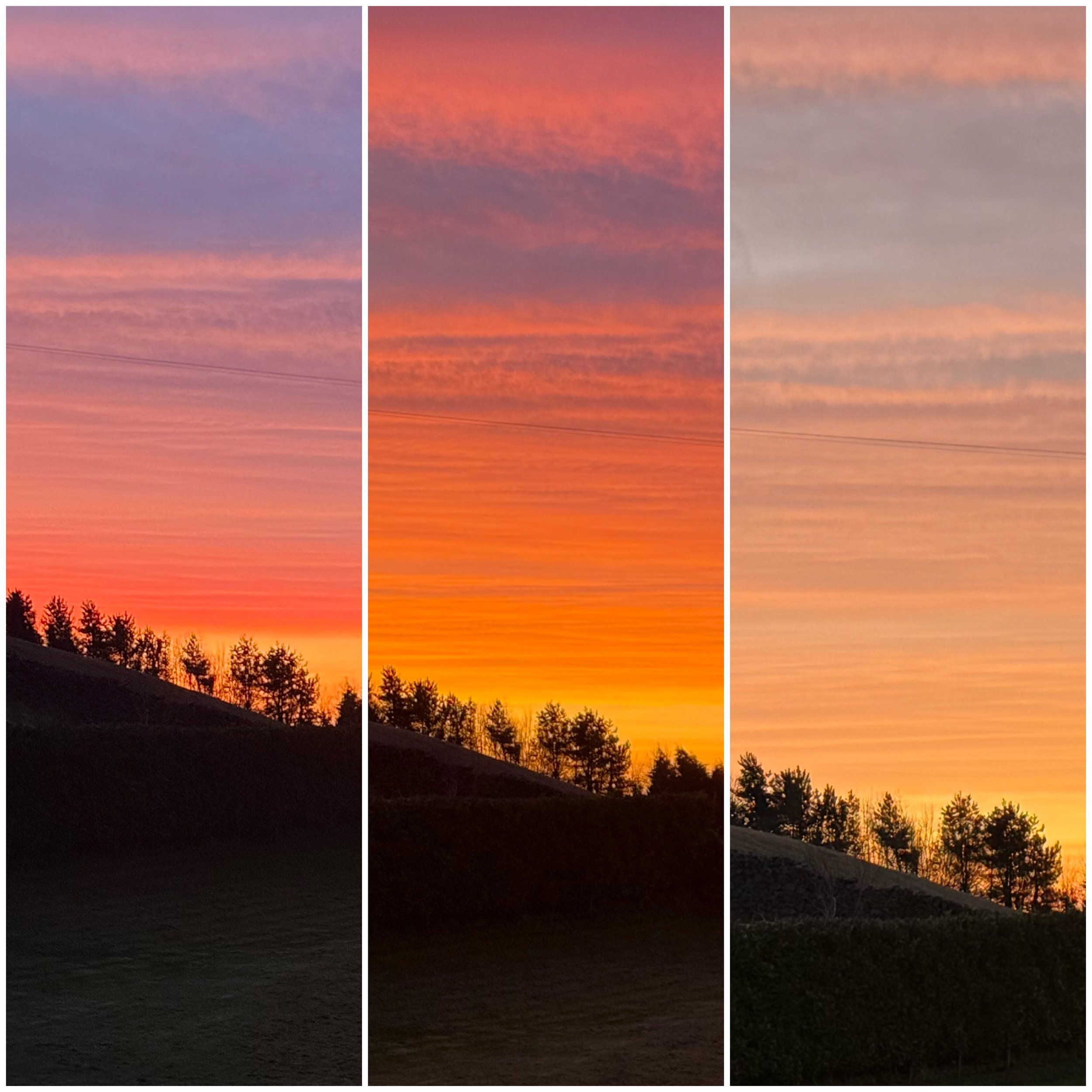 Triptych of a sunset sky with colorful clouds, silhouetted trees on a hillside, transitioning from pink and purple tones to bright orange.
