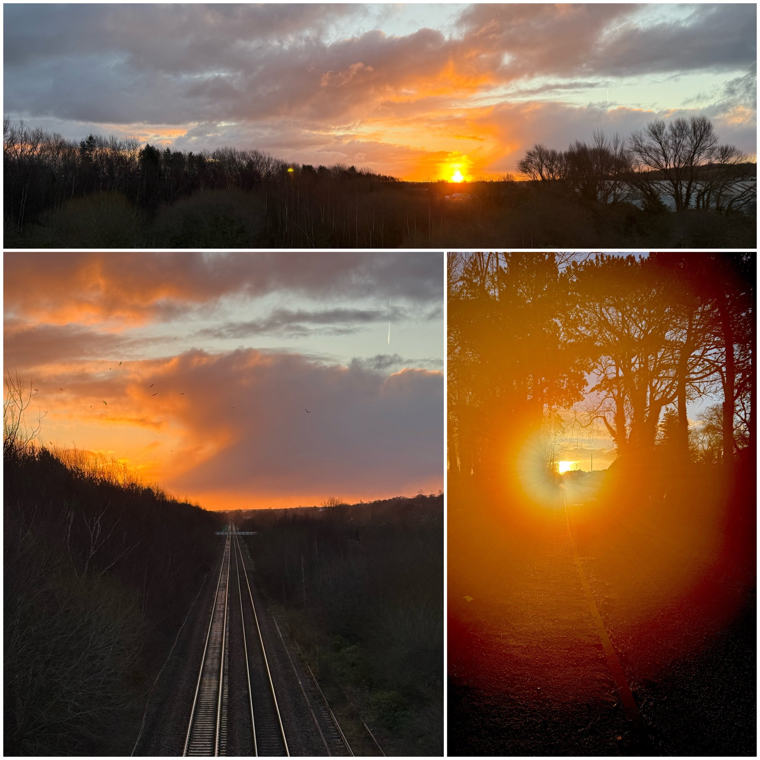 Collage of three sunset scenes with trees, clouds, and railway tracks.