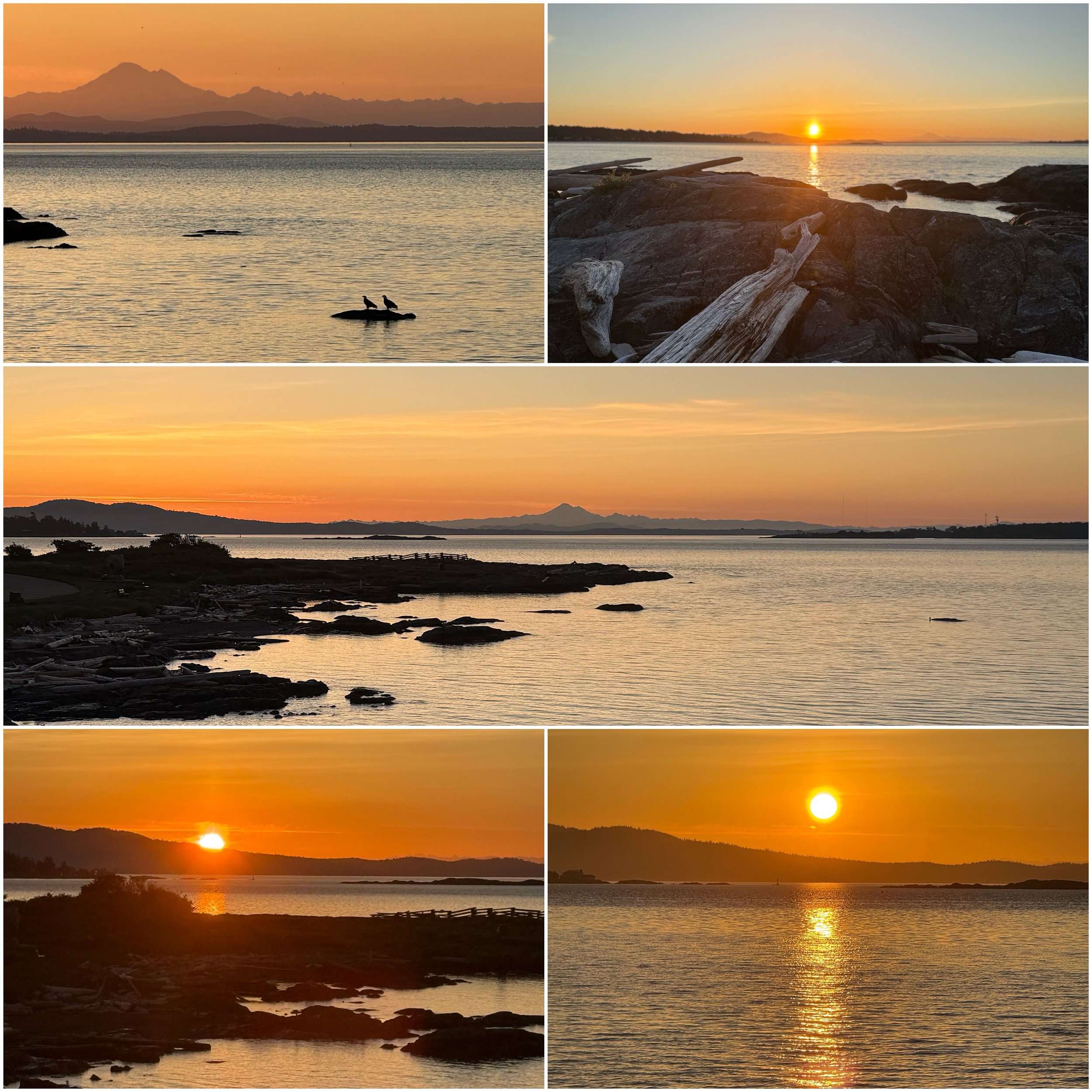 A collage of five photographs capturing a sunset over a body of water with mountains in the background, featuring rocky shores, driftwood, and a silhouette of two birds on a rock in the water.