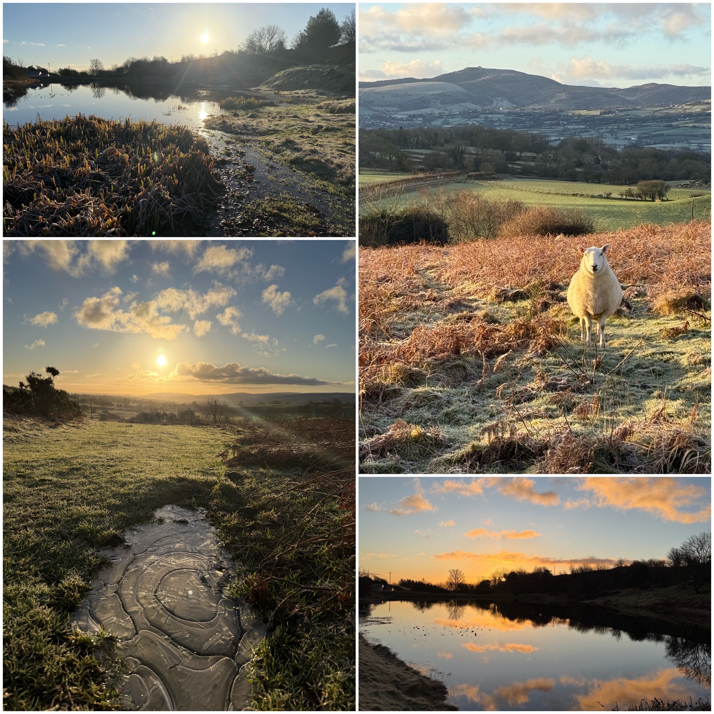 Collage of five scenic landscape photos taken during sunset or sunrise. Features include a river with reflections of the sky, a mountain view, a sunset over a field, a close-up of frost-covered ground with ice patterns, and a calm river reflecting an