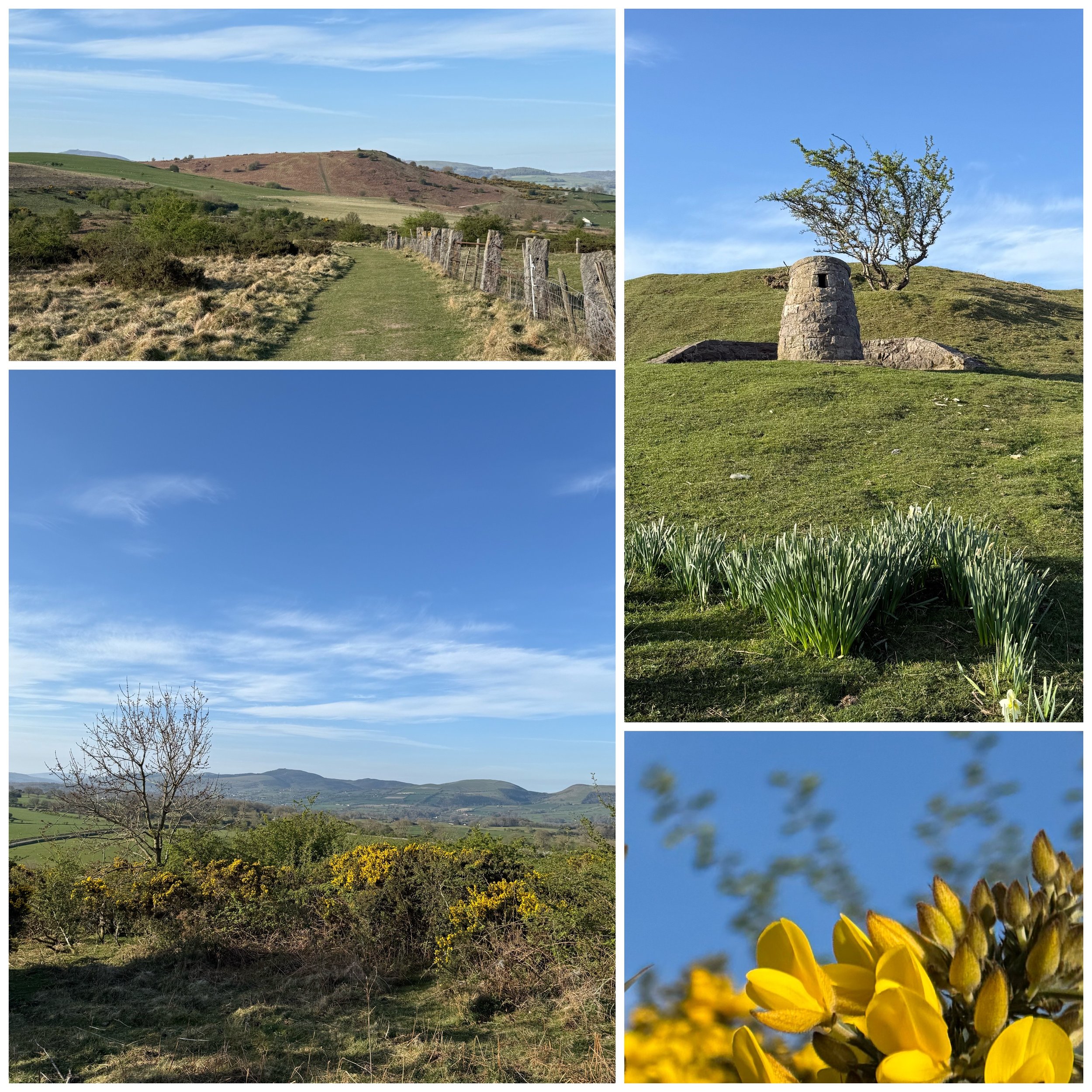 Collage of five images of a rural landscape with rolling hills, blue sky, sparse trees, a stone tower, and flowering plants.