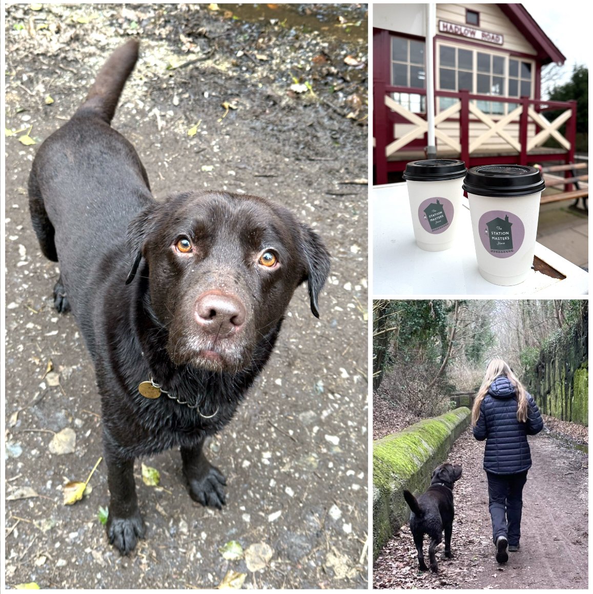 A black dog looking up outdoors on a dirt path, two coffee cups on a table outside a building with a porch, and a person walking a black dog on a wooded path.