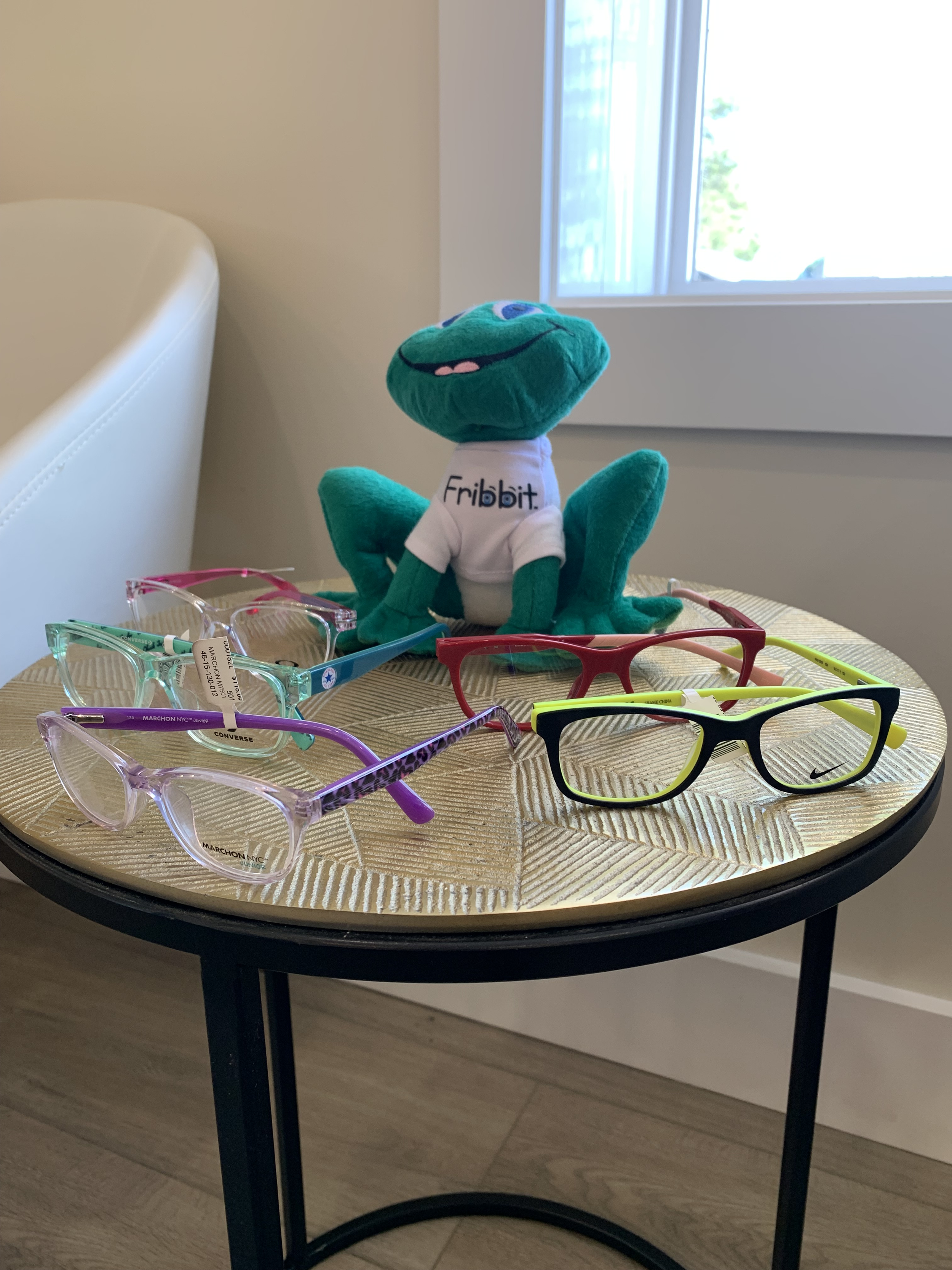 A playful stuffed frog named Fribbit surrounded by an assortment of childrens frames