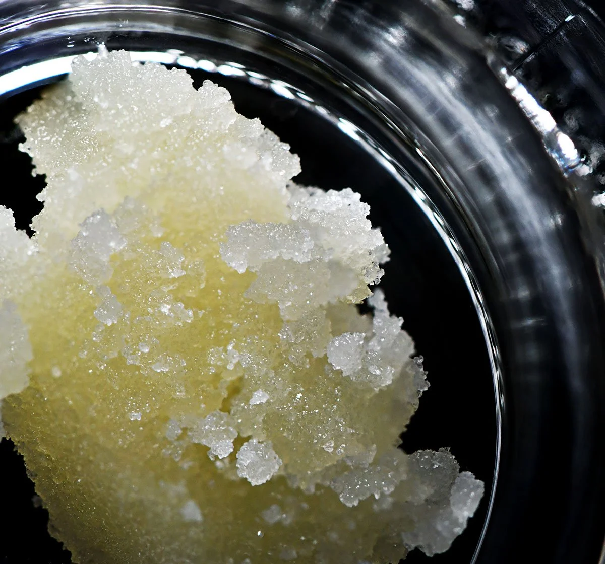 Concrete Jungle Extracts