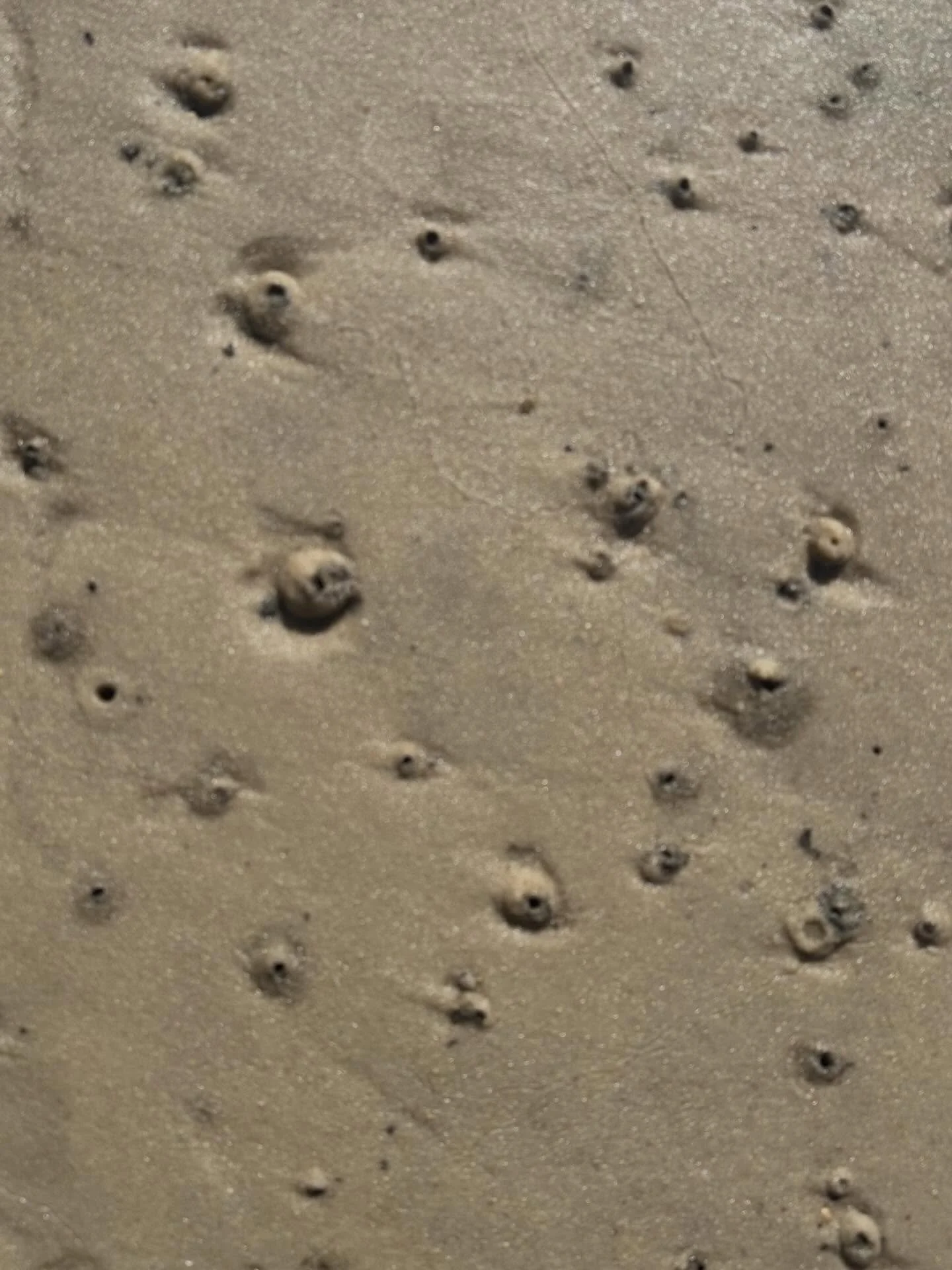 Small Beautiful Things I Don&rsquo;t Want to Miss-A cold Spring Break walk on #frontbeachoceansprings