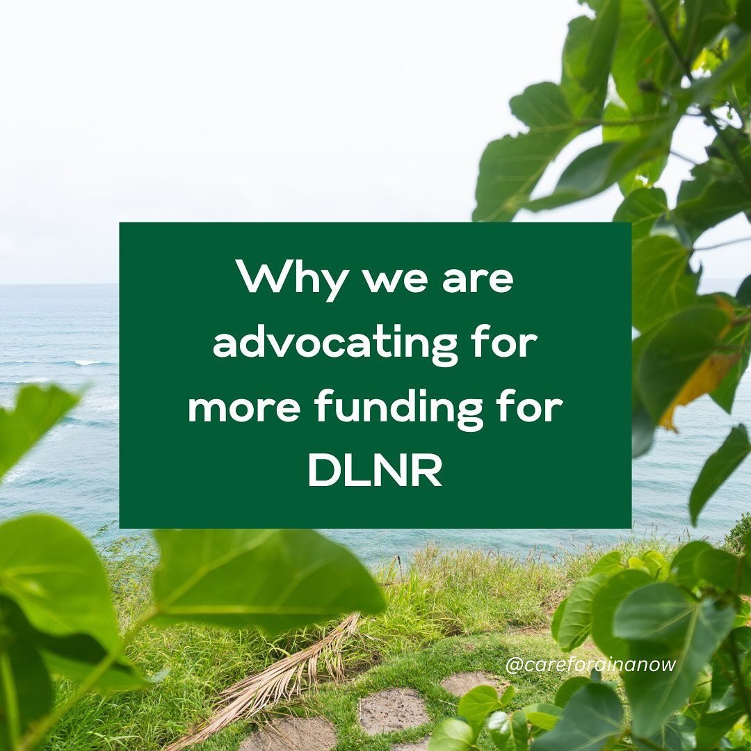 The Hawai&rsquo;i State Department of Land and Natural Resources (DNLR) work ensures that our islands natural environment thrives for generations to come. We&rsquo;re advocating for more funding to support their mission to protect, restore, and maint