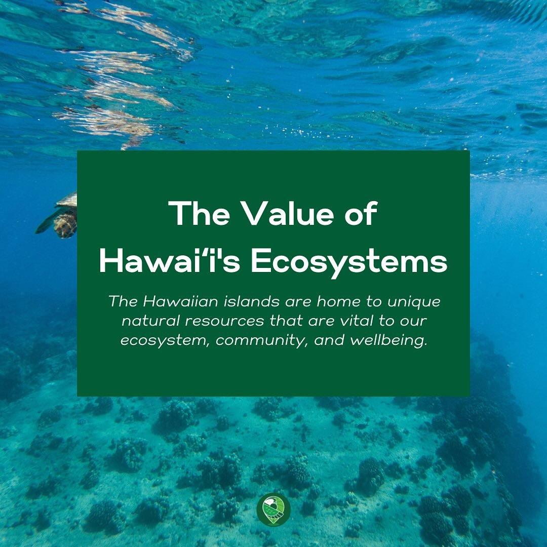 Our islands are rich in precious natural resources, essential for our ecosystem, community, and well-being. From lush forests to vibrant reefs, freshwater springs to majestic volcanoes, and diverse flora and fauna to renewable energy sources, each el
