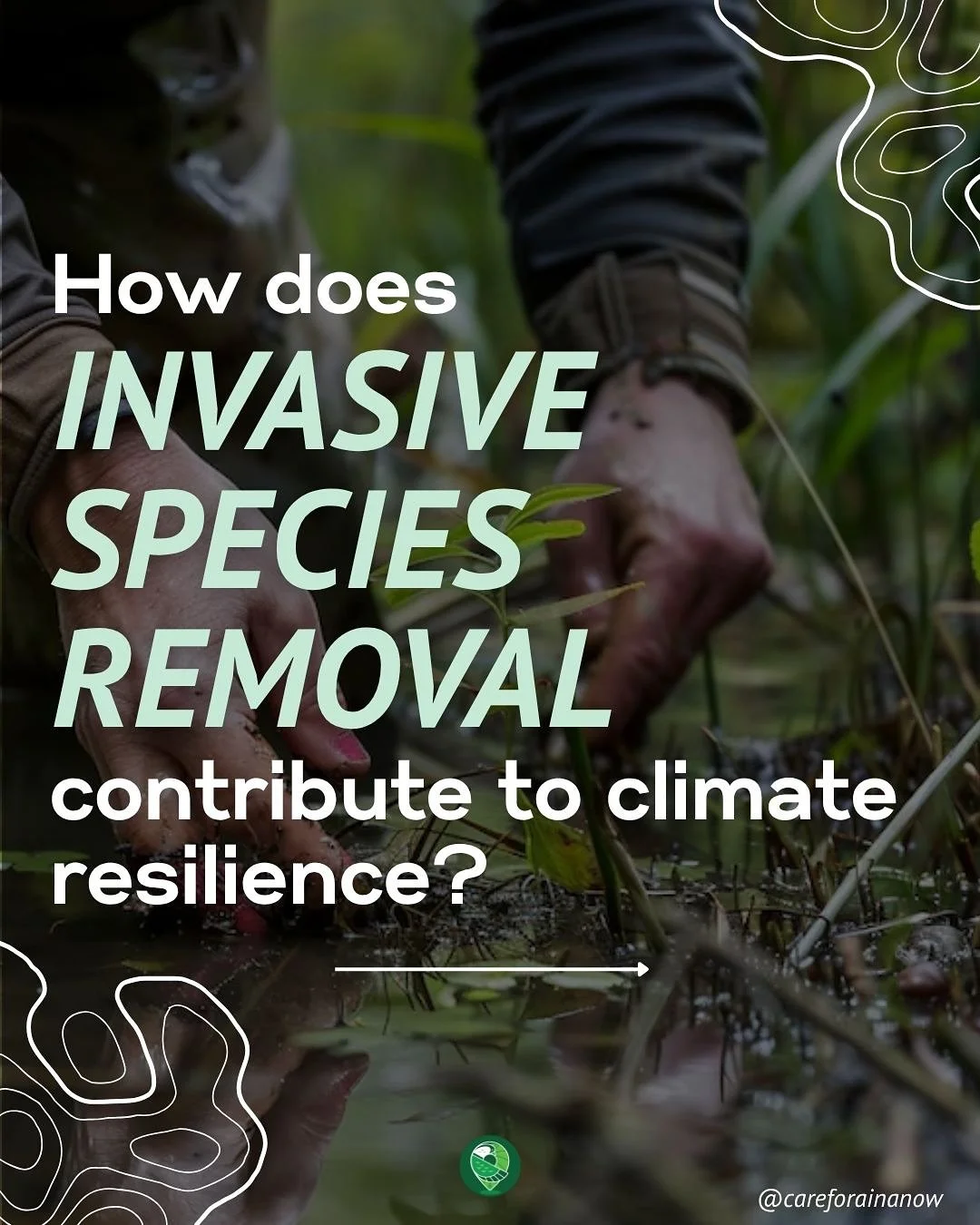Invasive species removal IS climate resilience. 

With wildfires increasingly threatening our communities, invasive special removal is a big part of the solution. As we remove invasive grasses and other plants, we can work with community groups to pl