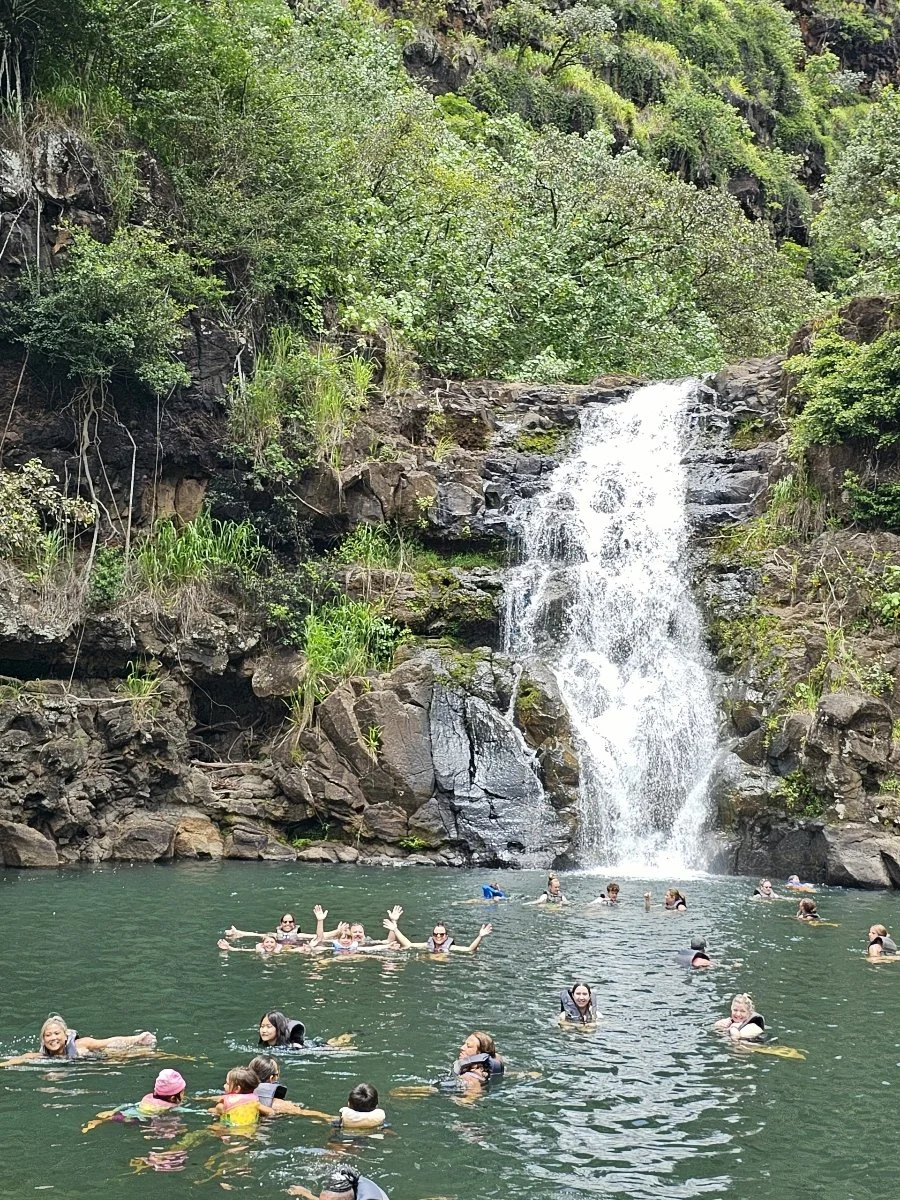 Swim at Waimea Falls