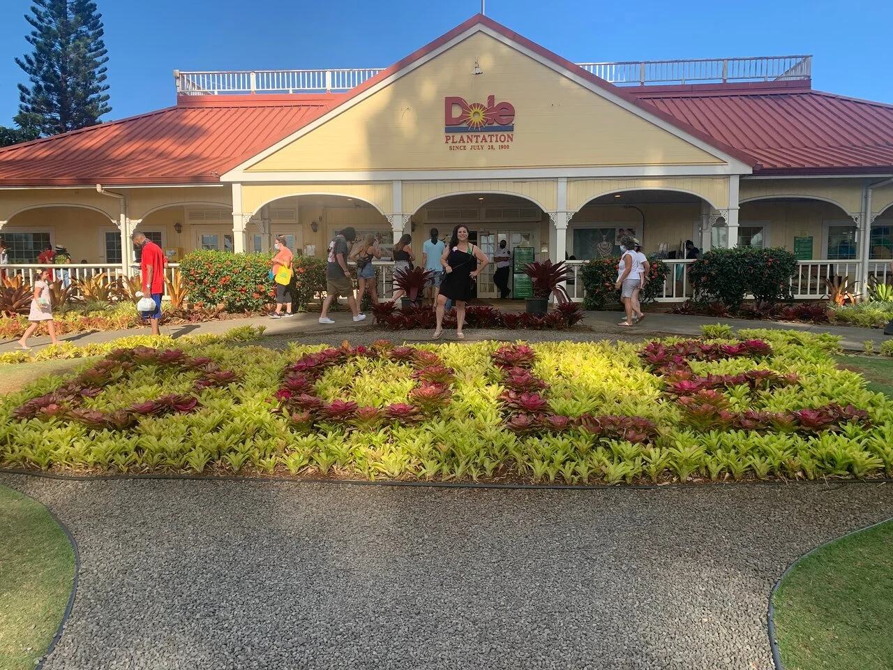 Why Circle Island Tours Are the Best Way to See Oahu in One Day