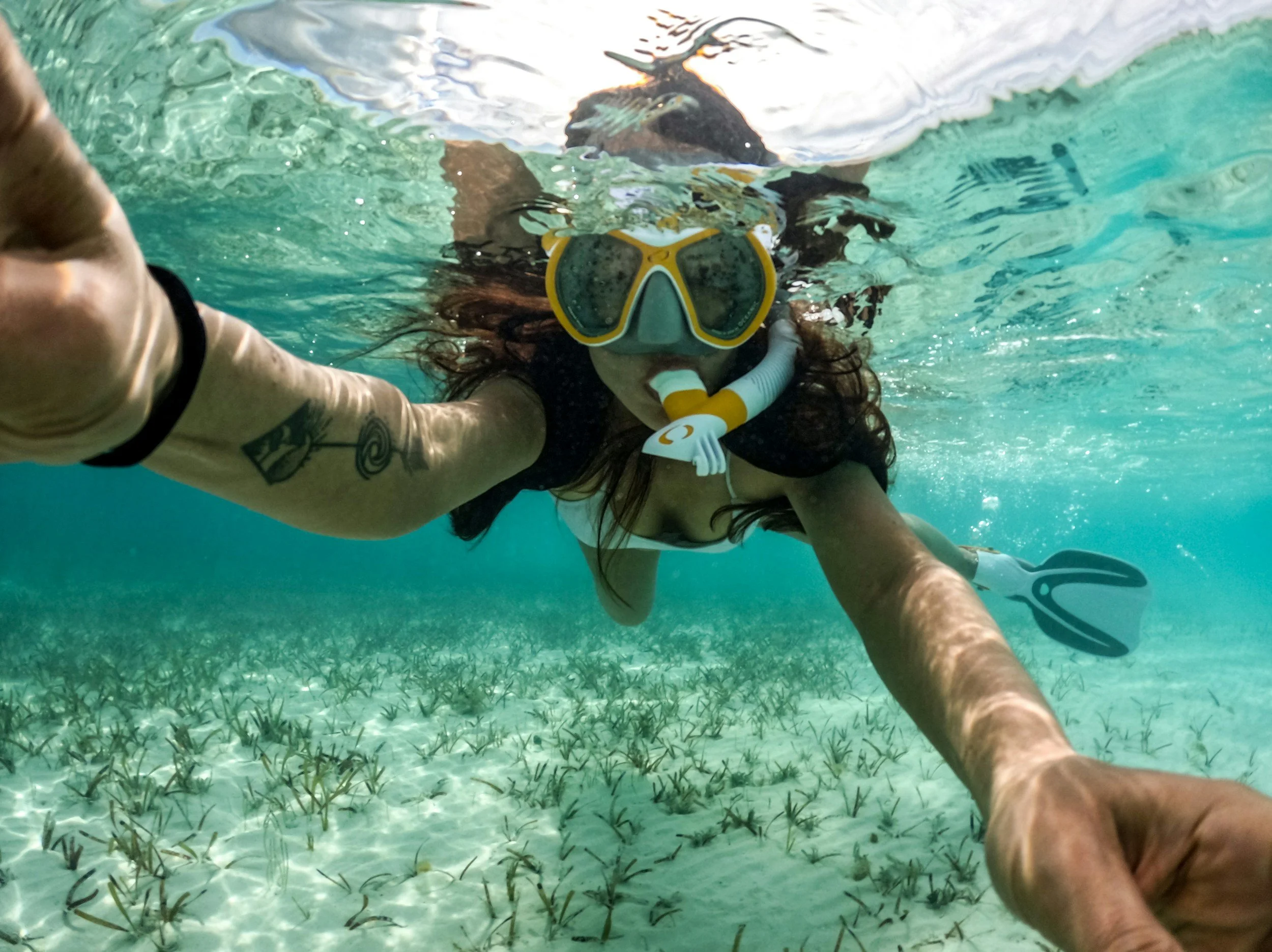 🐠 Snorkeling Gone Wrong: Tales of Foggy Goggles, Fish Panic, and Lost GoPros