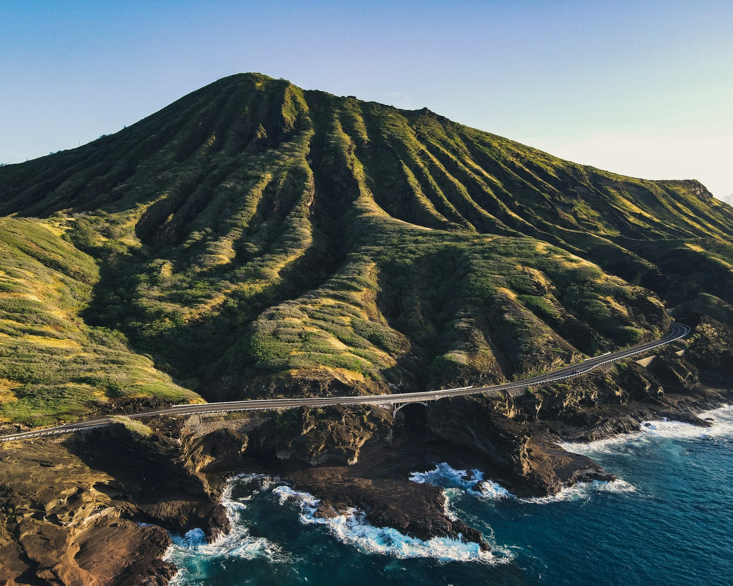 How the Bus Works on Oahu