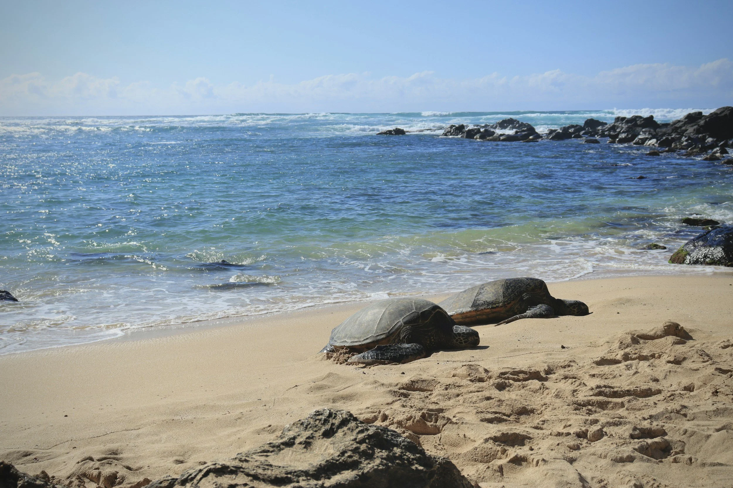Best Things to Do in Oahu for First-Time Visitors