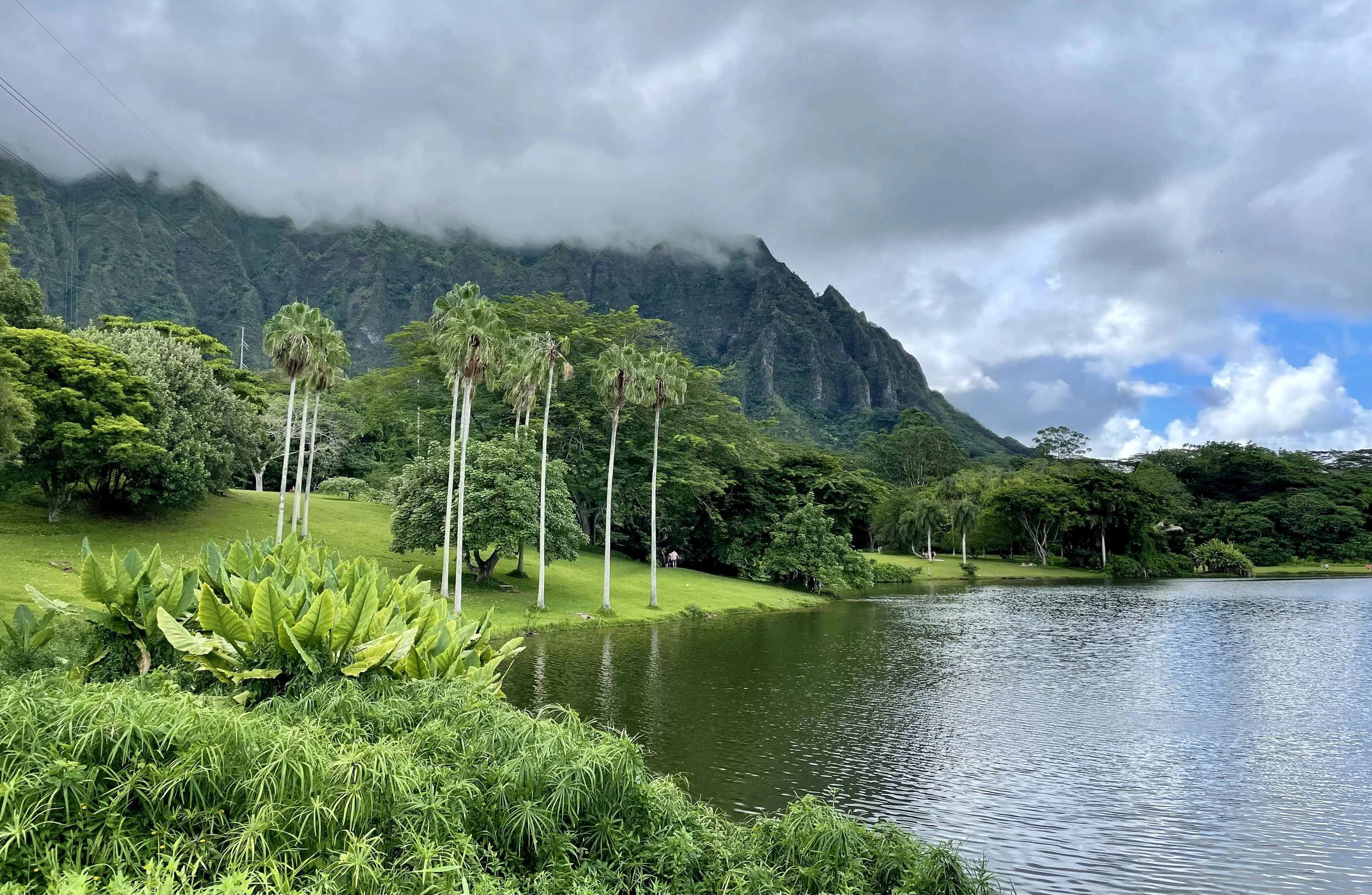 HO'OMALUHIA BOTANICAL GARDEN