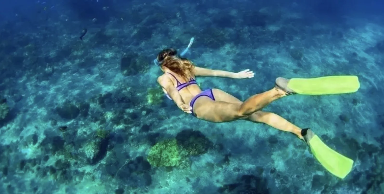 Snorkeling at Turtle Canyon
