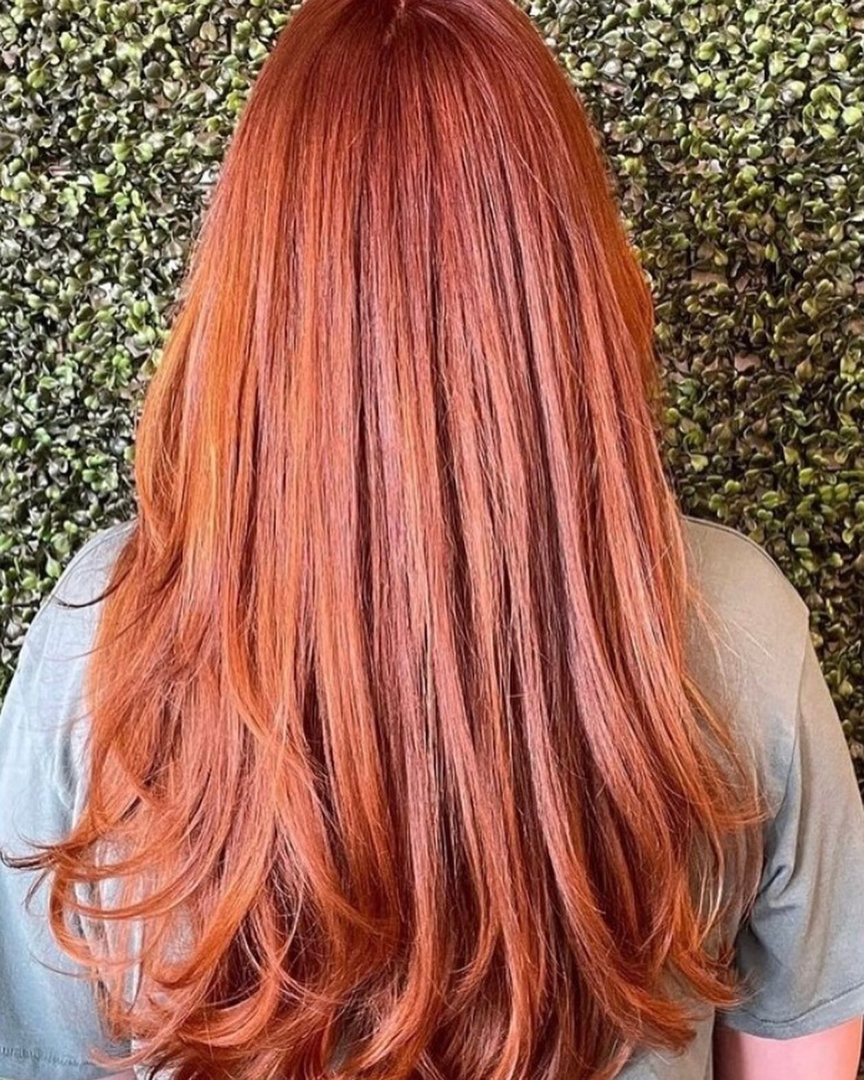 Beautiful copper hair done by our stylist @dollhairsbydanielle🧡✨

For appointments: 📞(407)864-2587
.
.
.

#vamphairsalon #VAMPHAIR #orlandohairstylist #downtownorlandosalon #blondewaves #copperbalayge #orlandofoilage #shopsmallbusiness