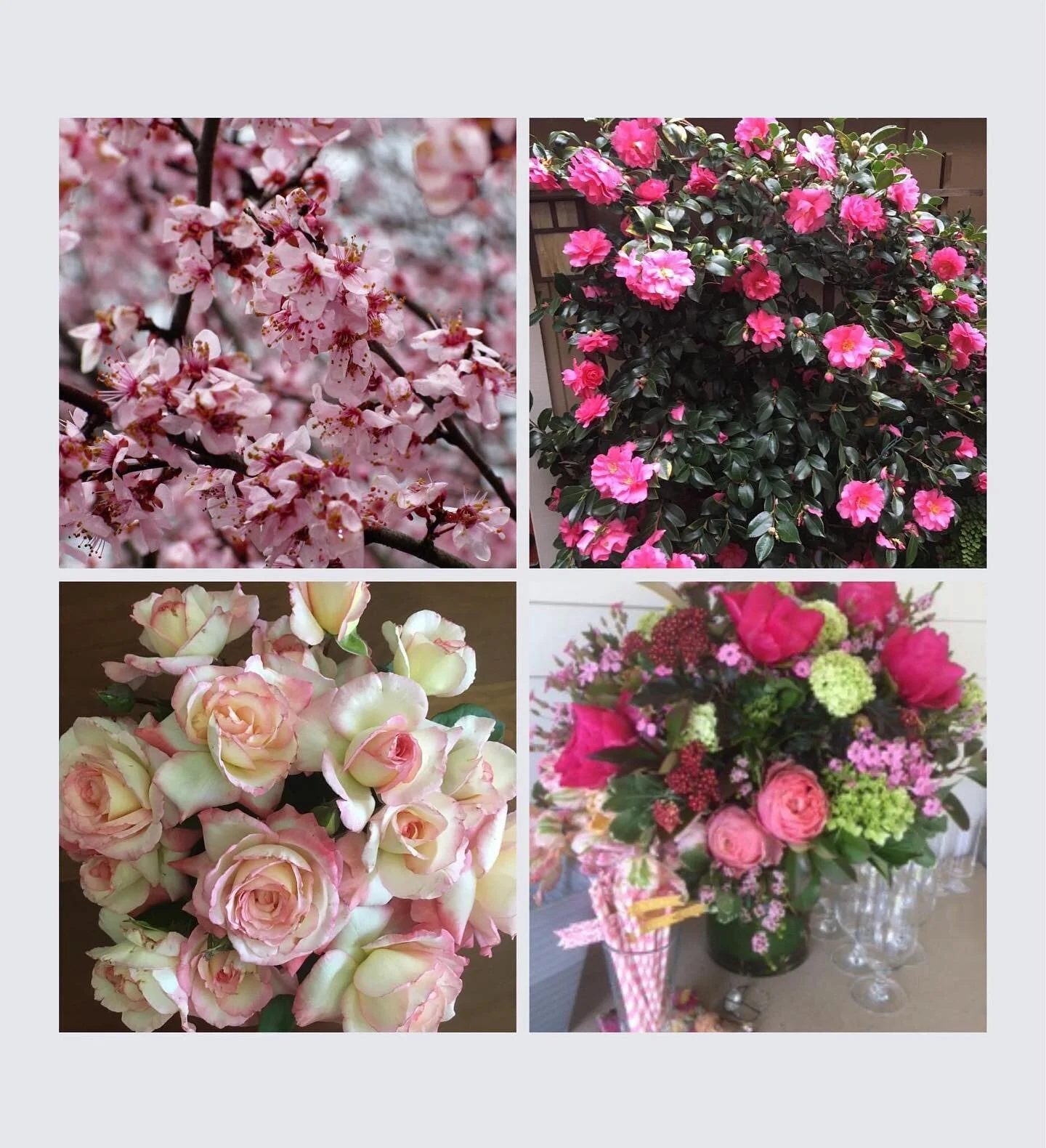 In a world too often marred by ugliness and hate, may you find beauty and kindness.