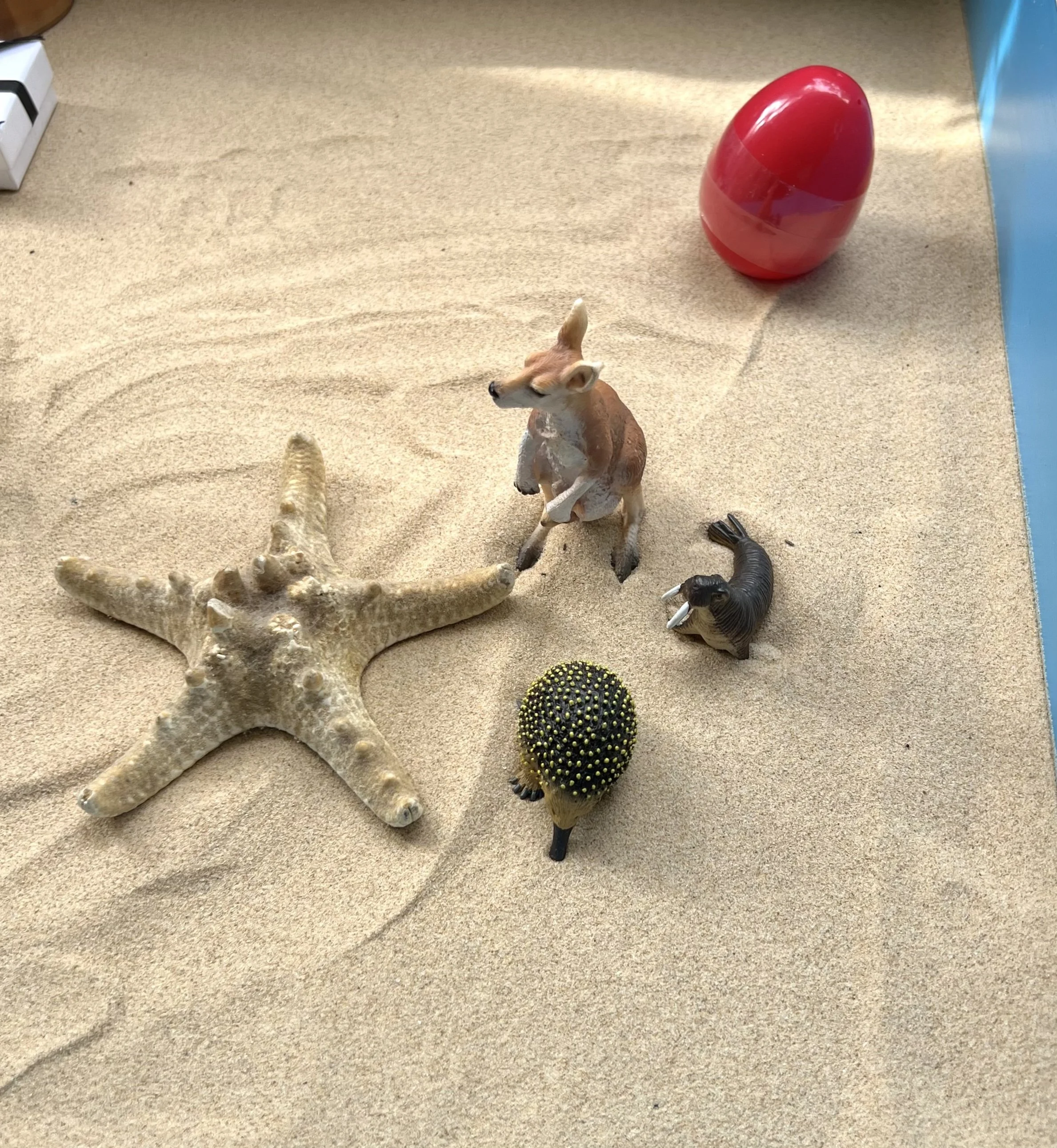 Miniature figurines of a starfish, a dog, a walrus, a porcupine, and a bird arranged on sand with a red egg-shaped object in the background.