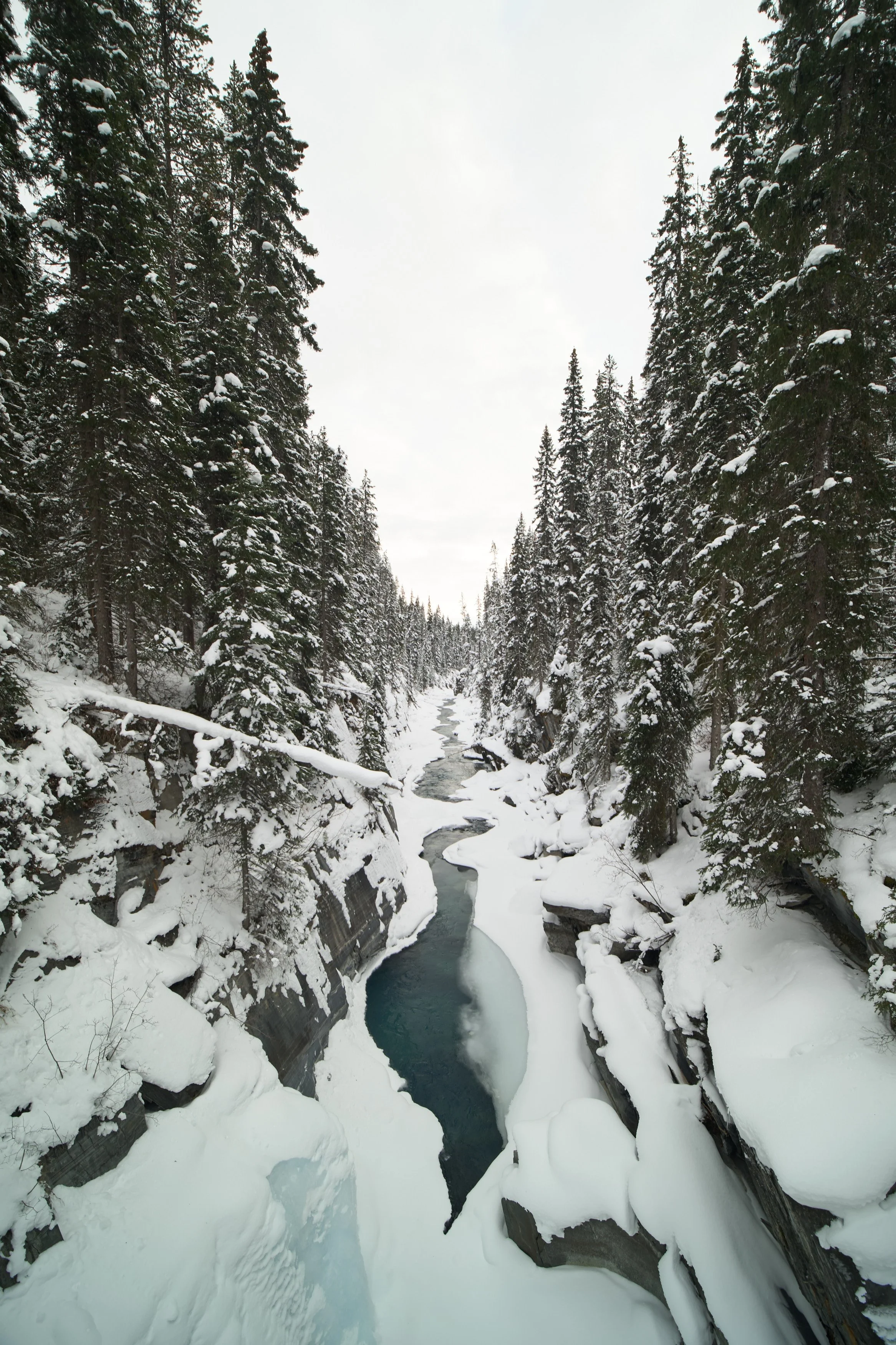 DSCF1610_HDR Web.jpg