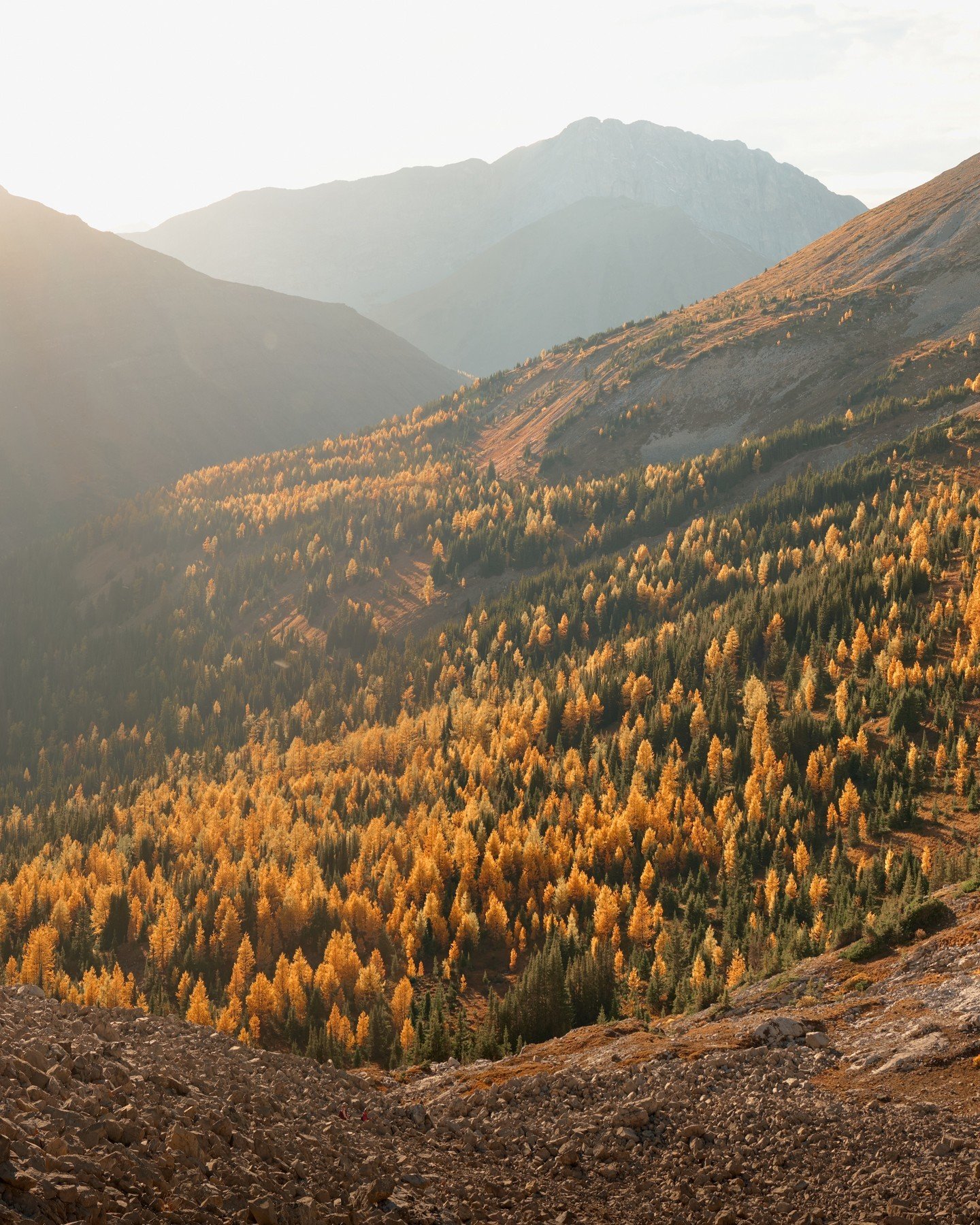 A valley on fire...⁠
⁠
--⁠
⁠
Some shots from a hike in Kananaskis this fall, it's a special time of year here in the rockies. I love how the larch trees glow as the sun goes down over the mountains, it's always a surreal feeling catching them at the 