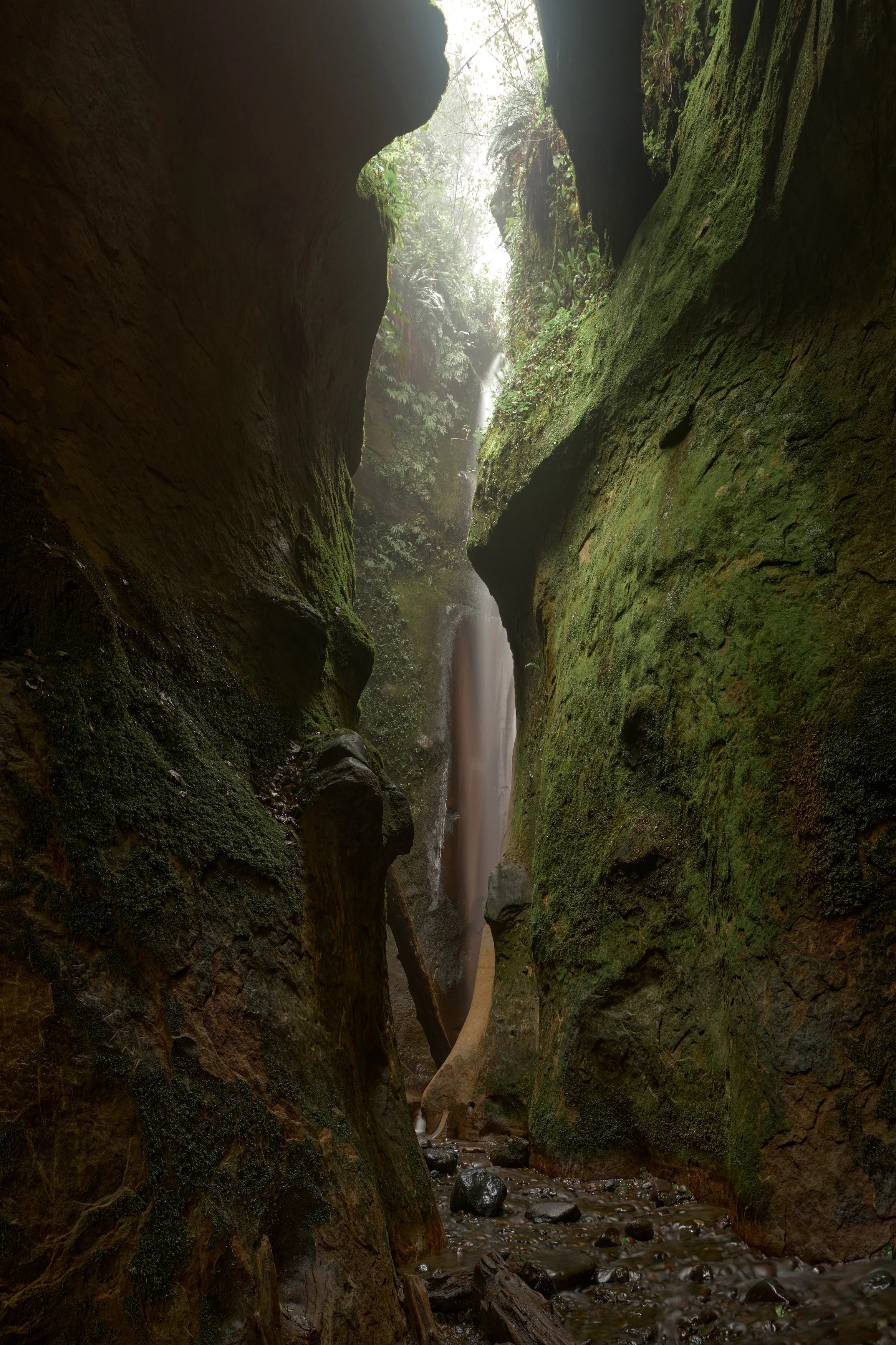 XT4F0093_Panorama Web.jpg