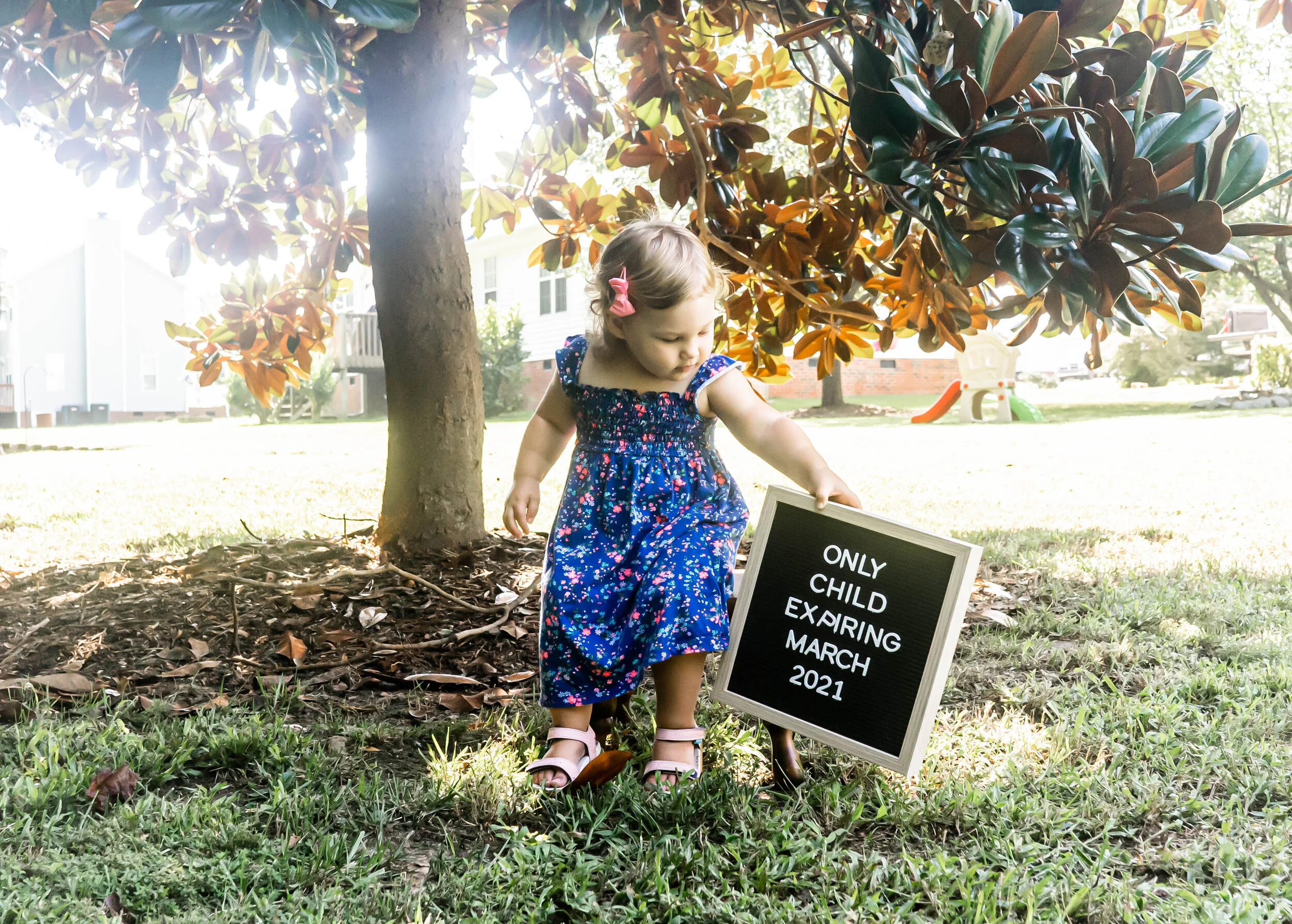 Alaina Schambs 2 Birthday-4.jpg