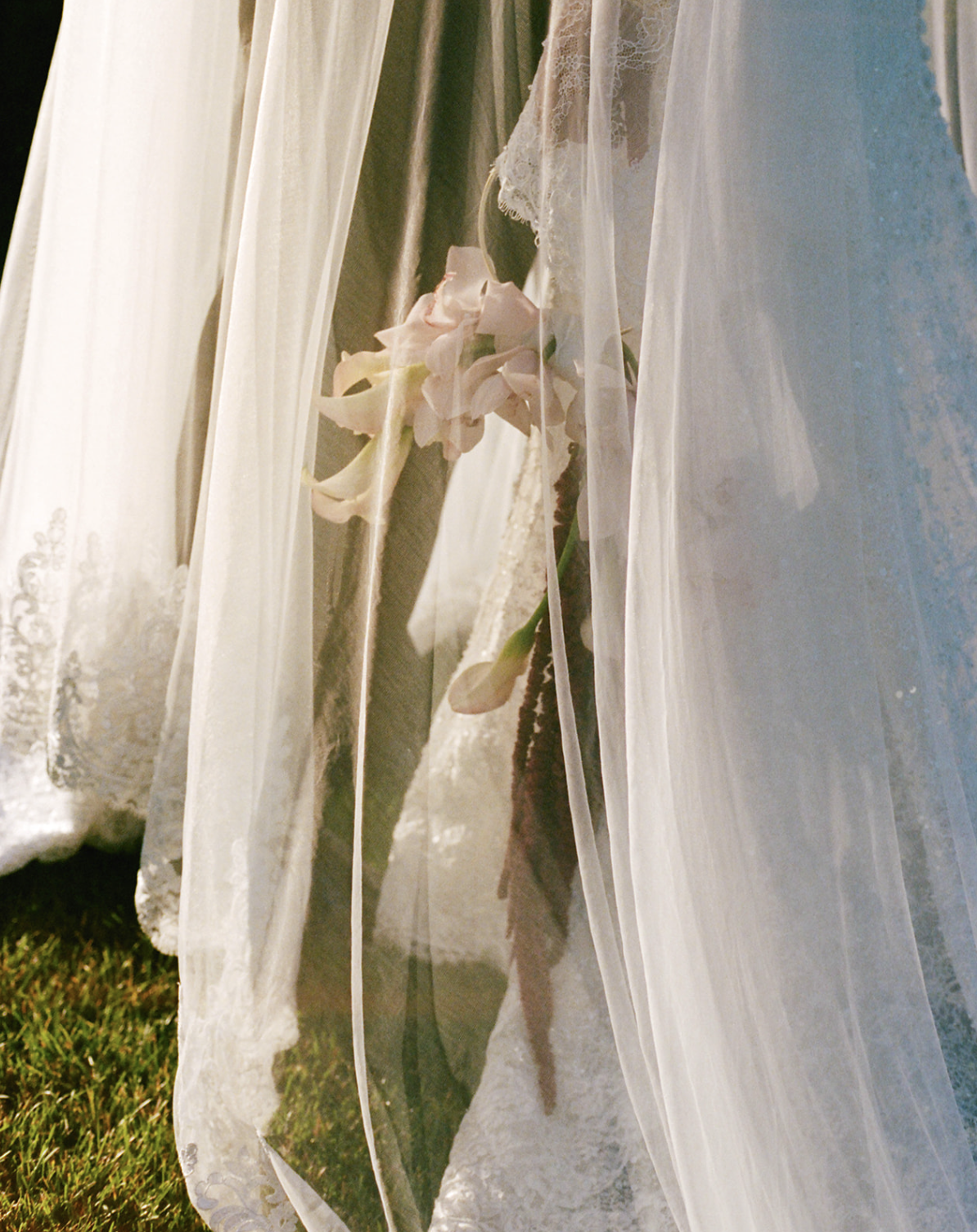 Screenshot 2025-12-04 at 11.00.49 PM.png