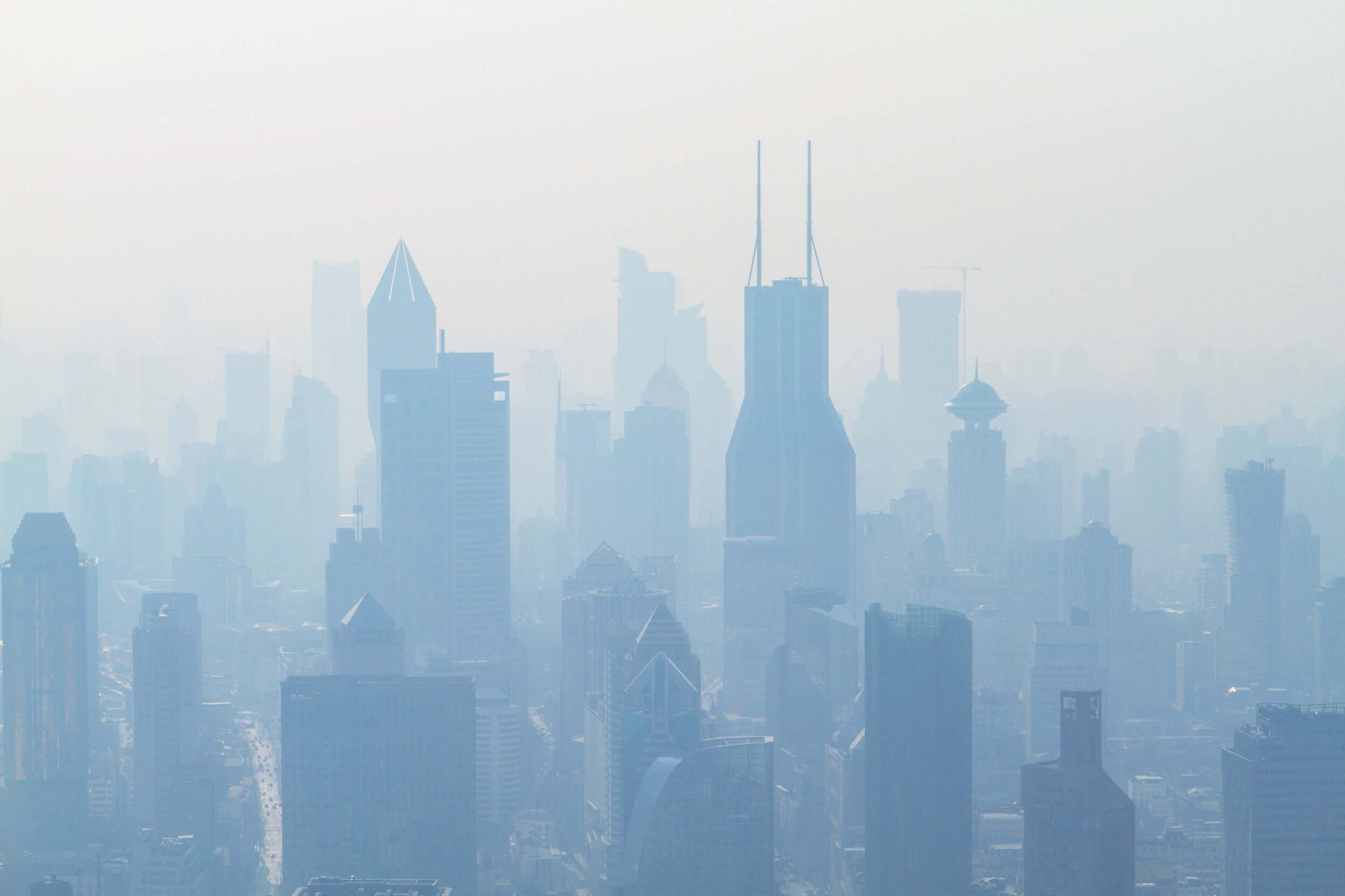 How Your Environment is Making You Sick