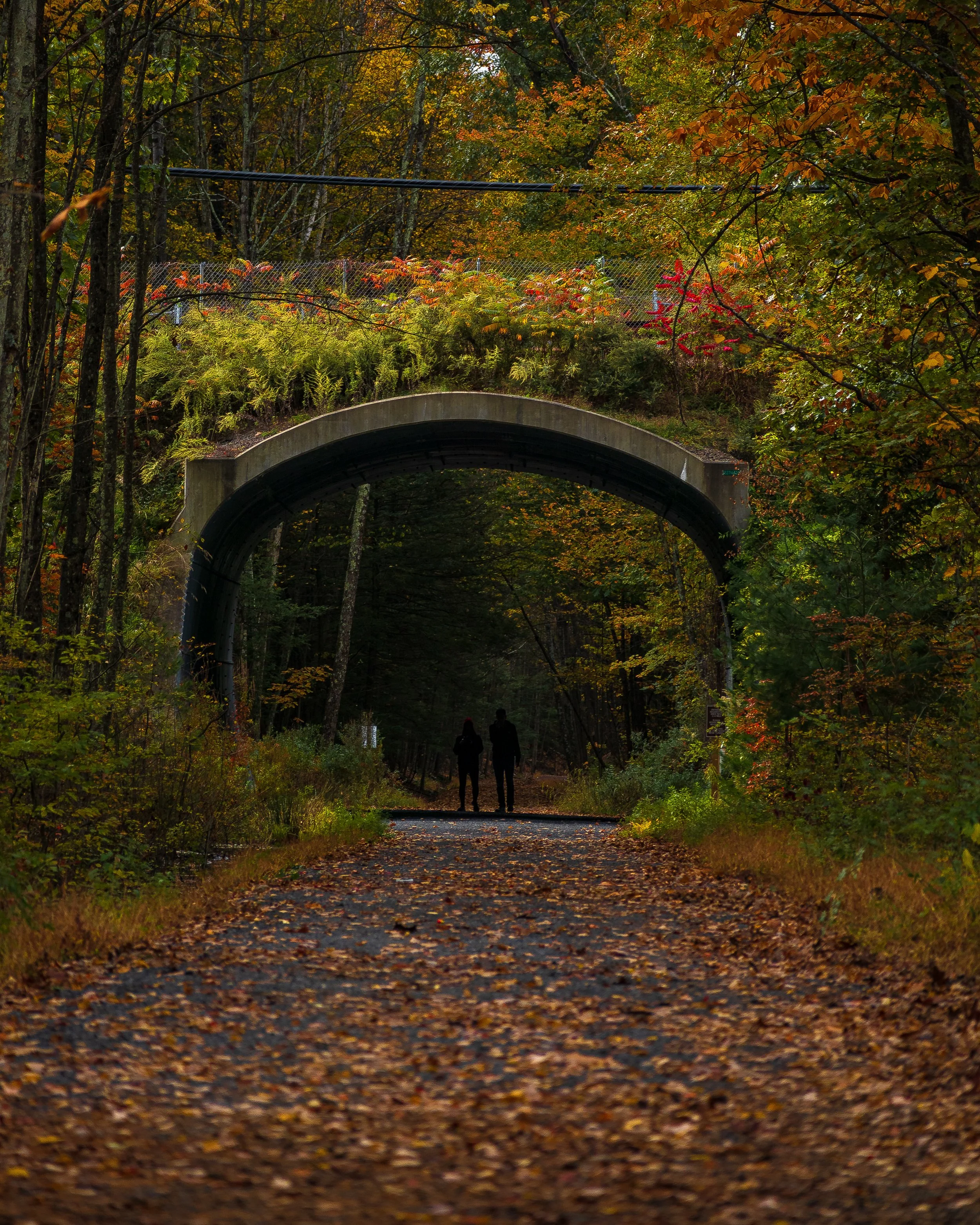A wooded trail during autumn with fallen leaves, featuring a concrete arch bridge over the path and two people walking underneath.