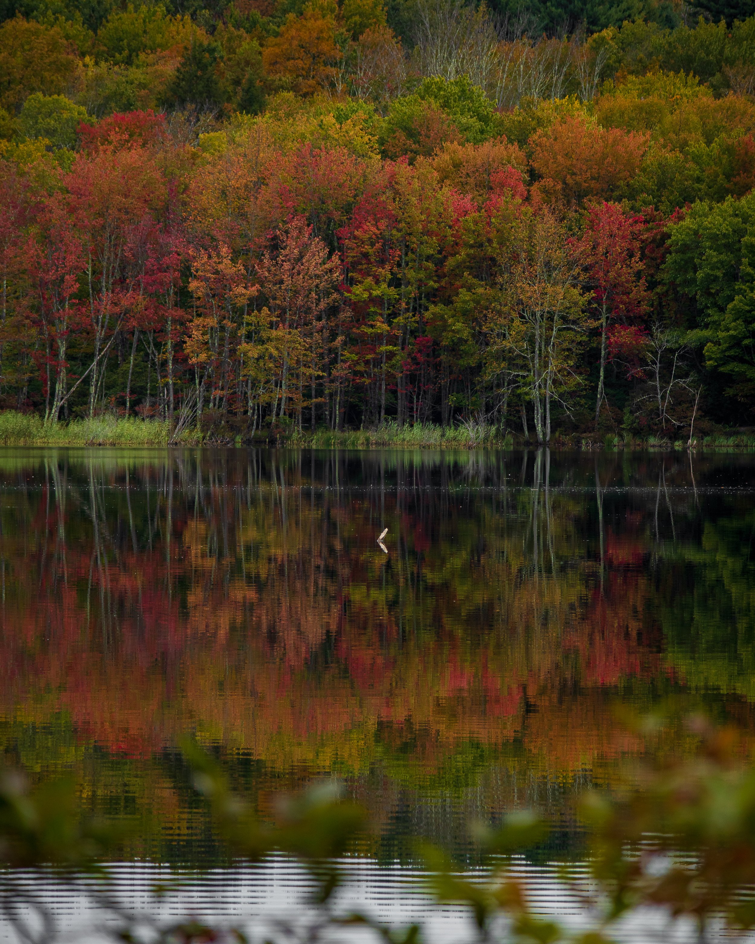 A scenic view of a lake surrounded by trees with autumn foliage reflected in the water.