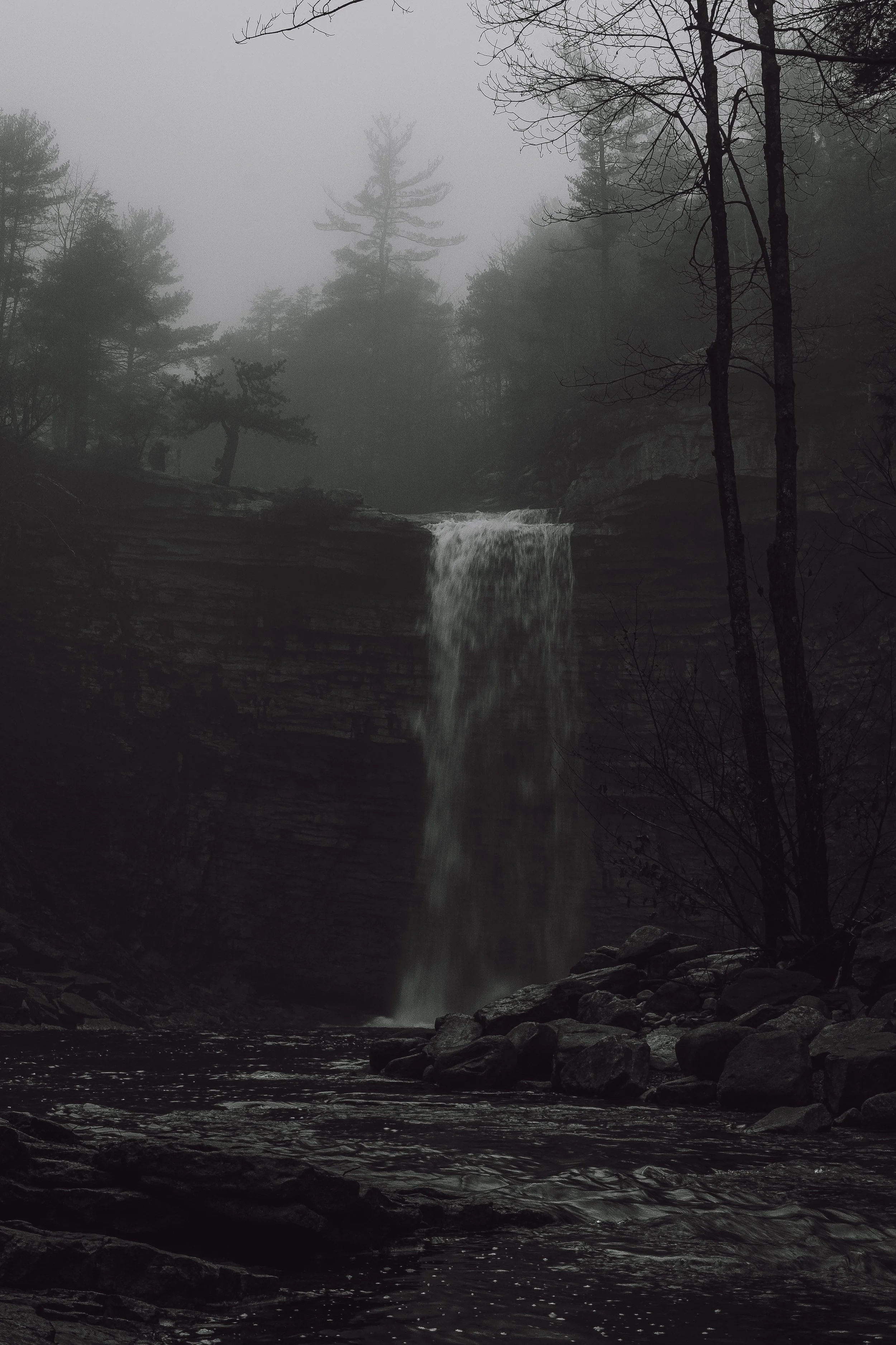A waterfall cascading over rocks in a misty, dark forest with leafless trees and fog.