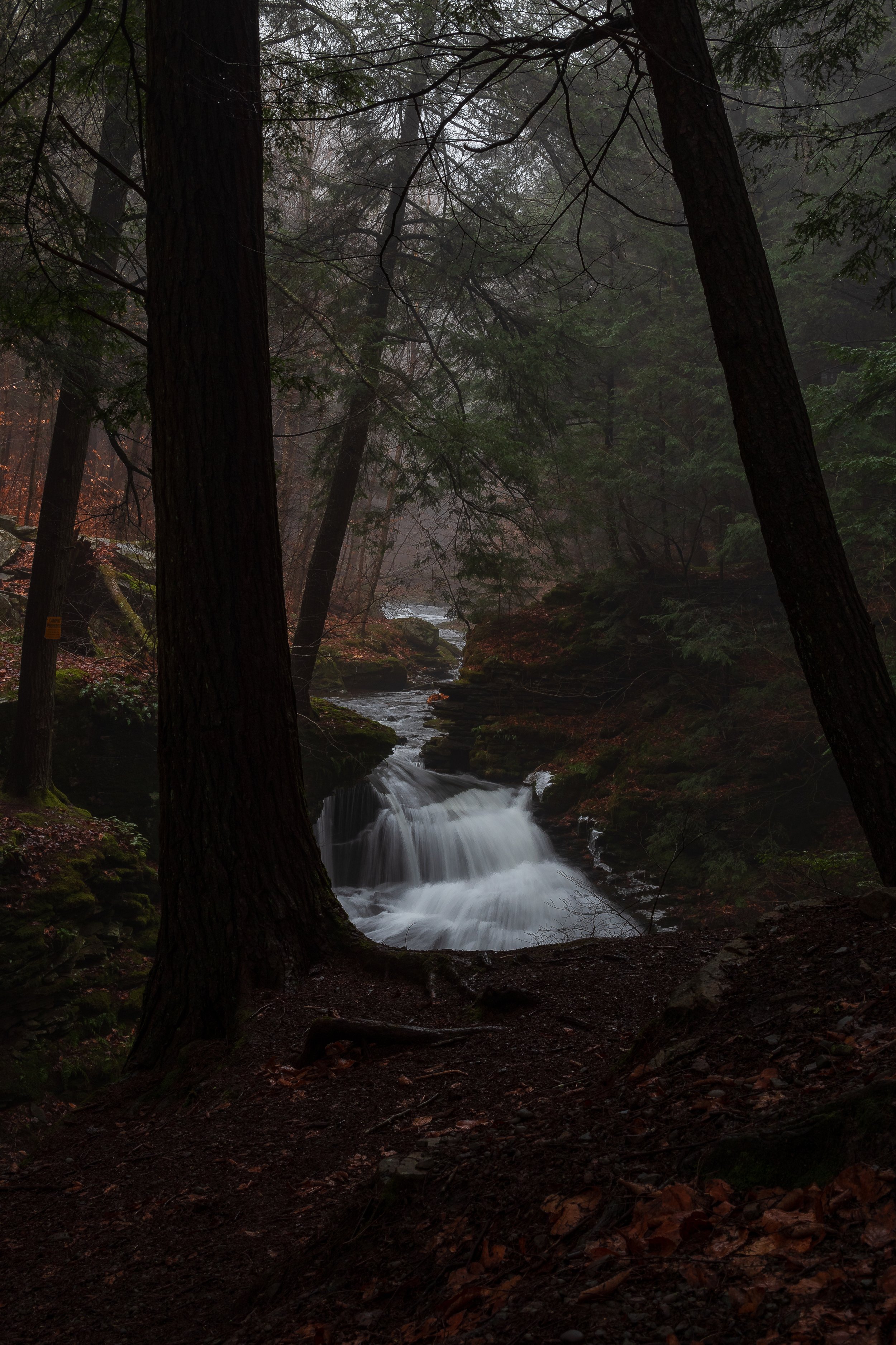 A misty forest scene with a small waterfall flowing over rocks, surrounded by tall trees with dark trunks and moss-covered ground.