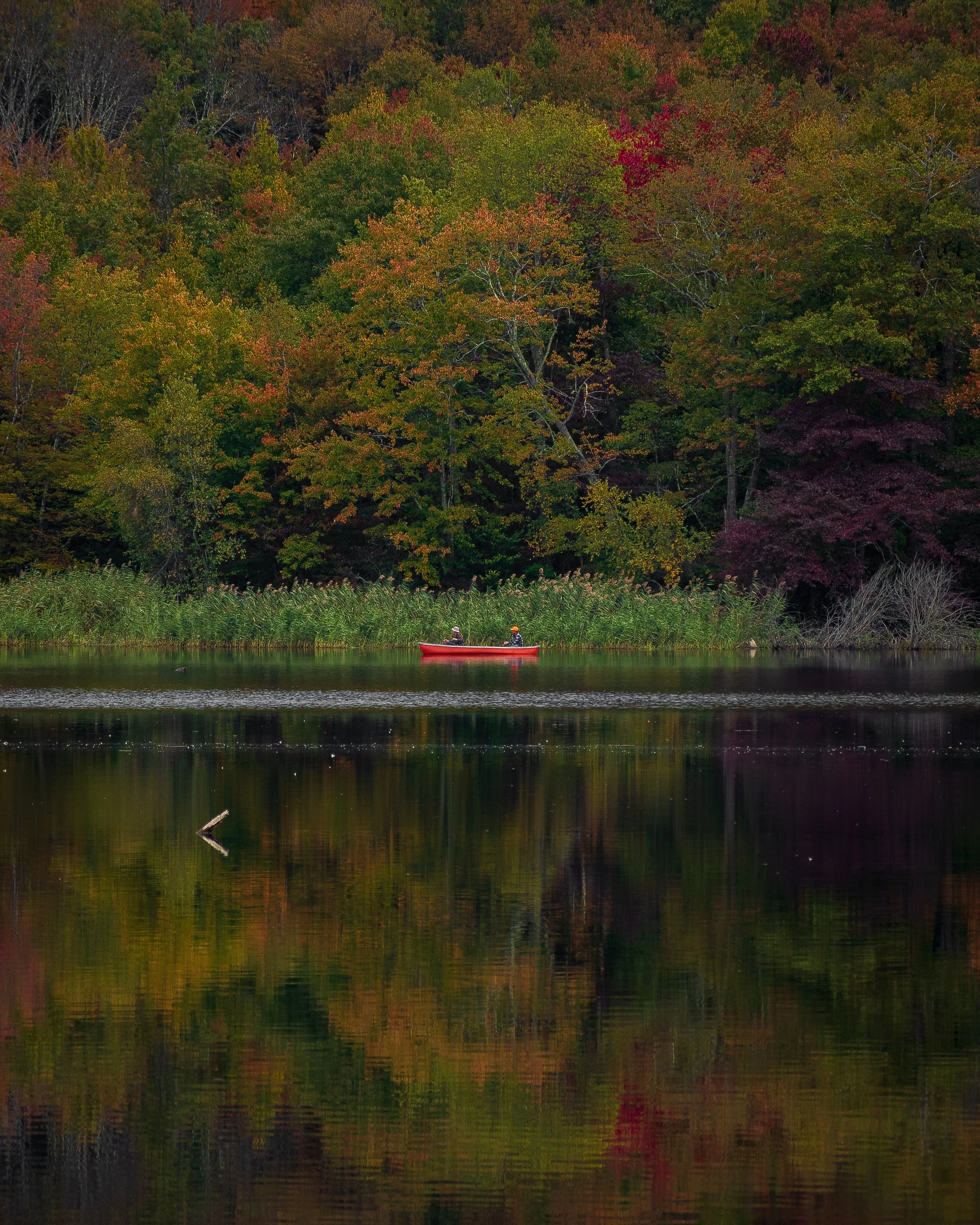 A lake surrounded by trees with autumn foliage, two people in a red canoe on the water.