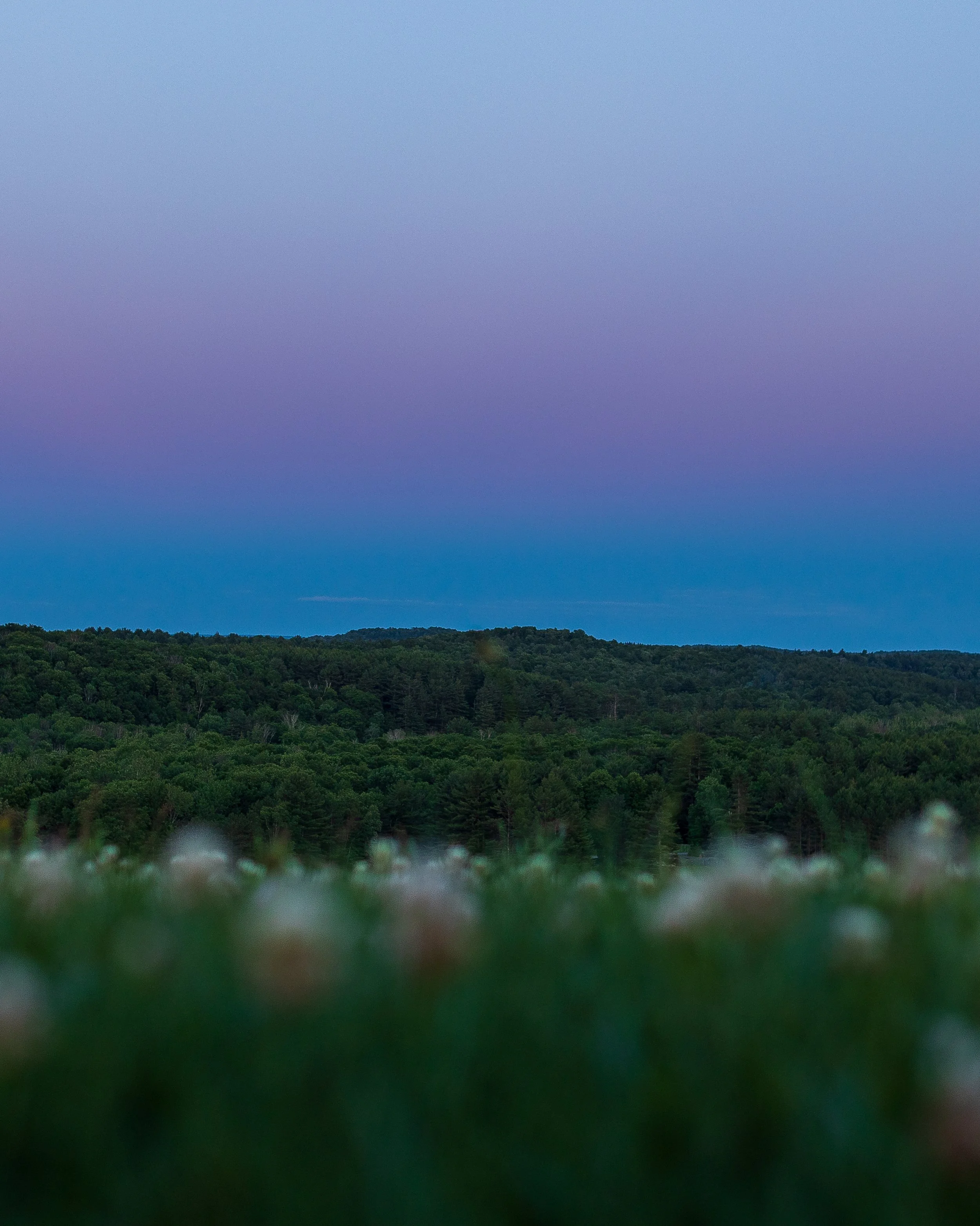 A landscape photo showing a distant tree-covered hill under a twilight sky with shades of purple and blue, and a blurry foreground of grass or flowers.