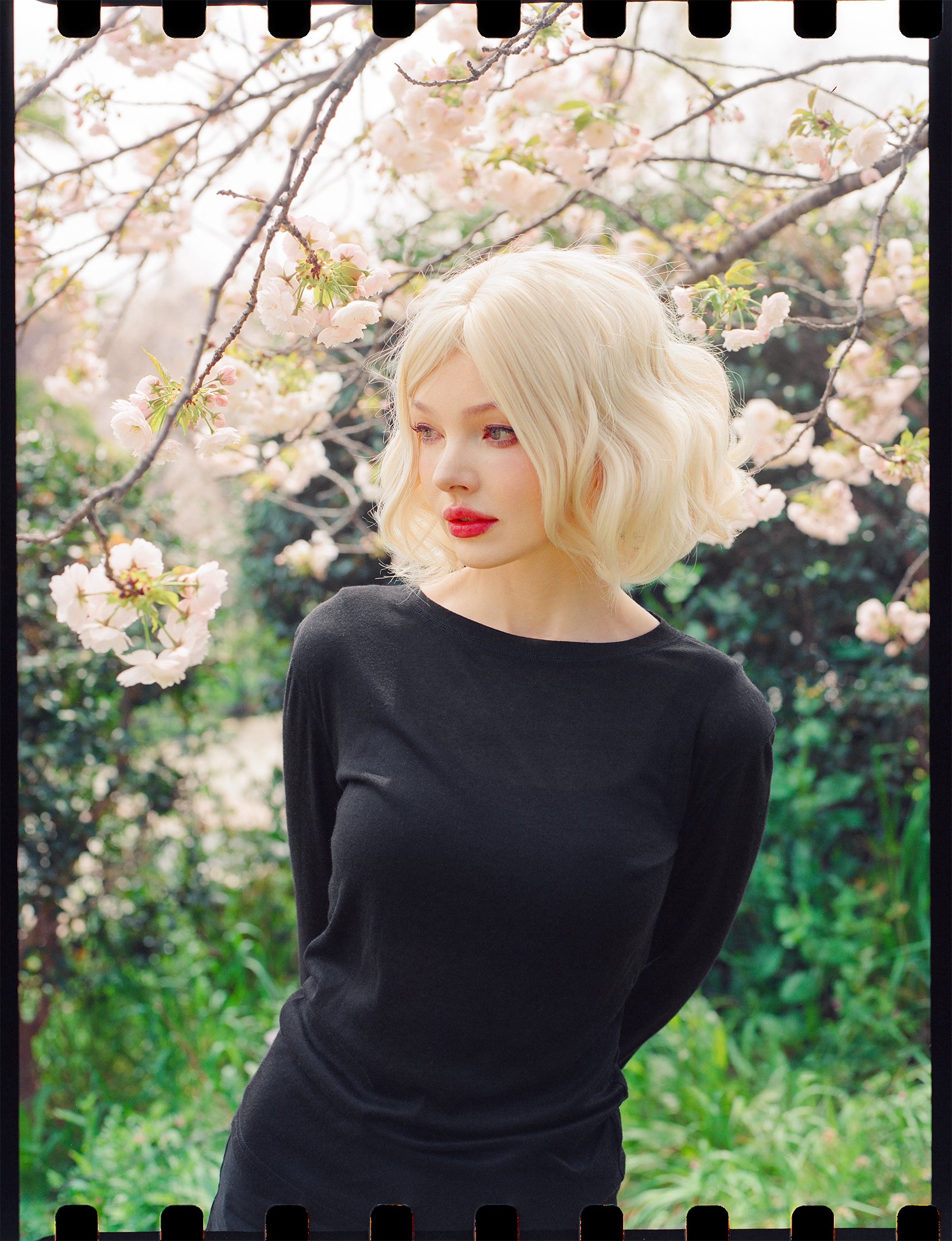 Lili-6.jpg