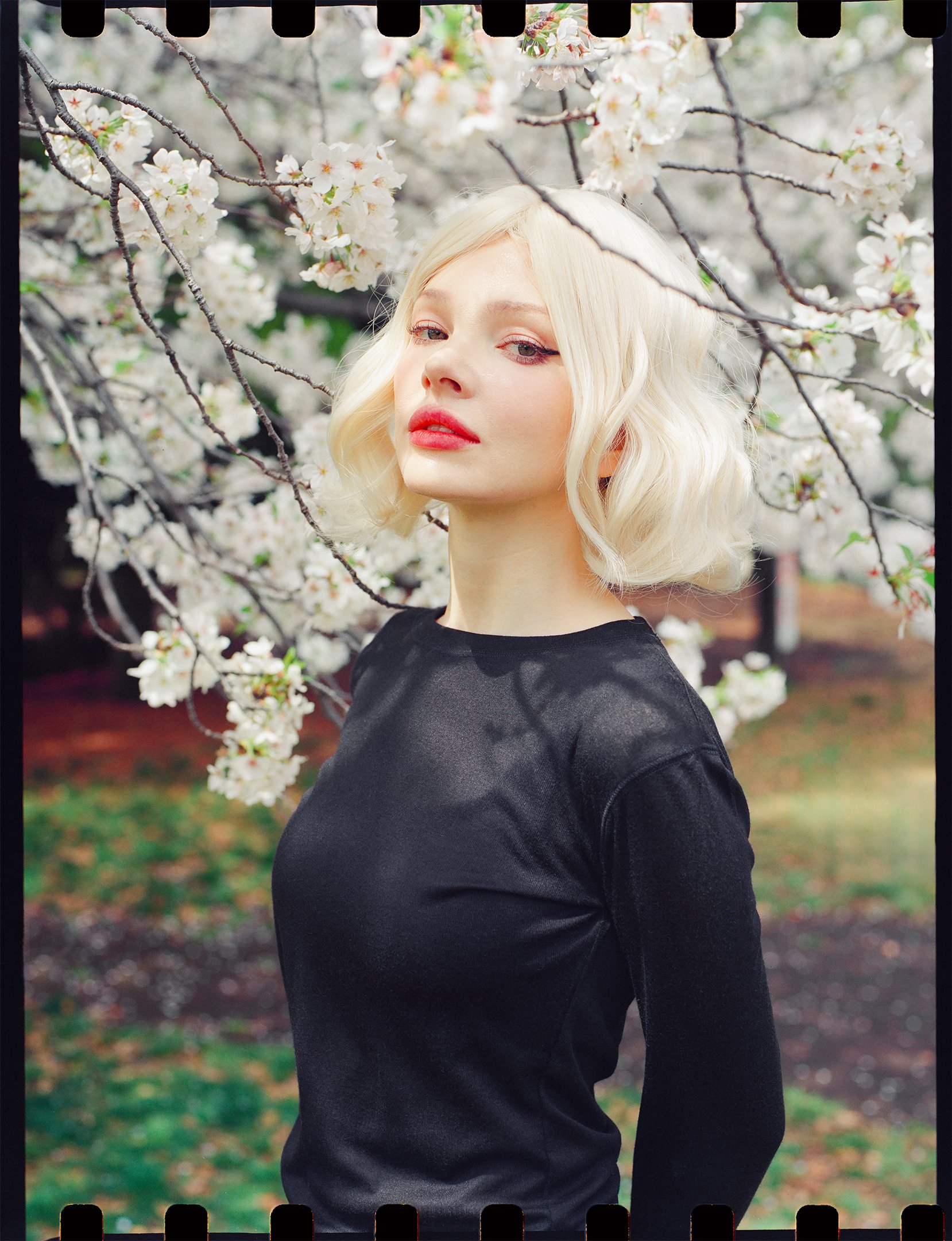 Lili-1.jpg