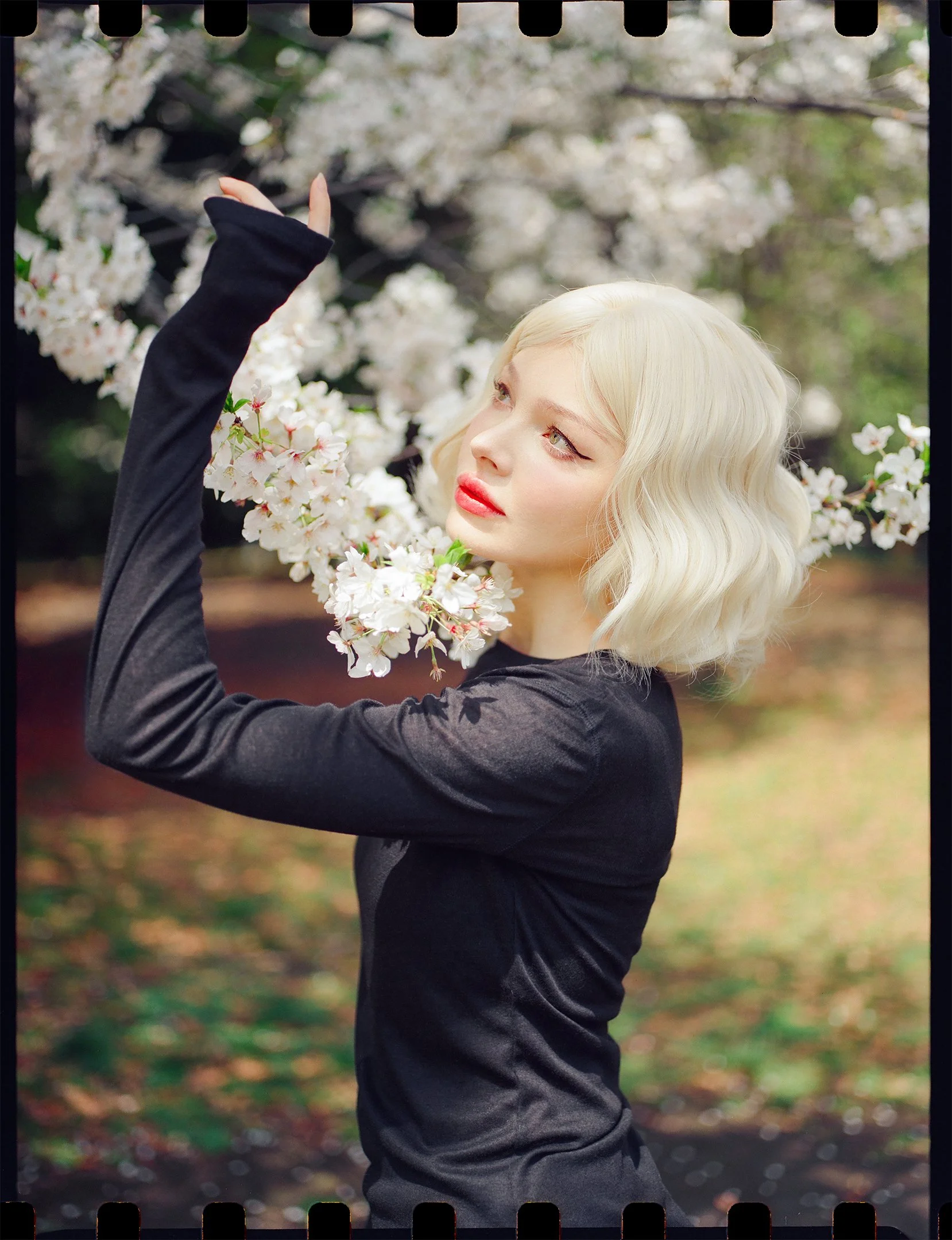 Lili-3.jpg