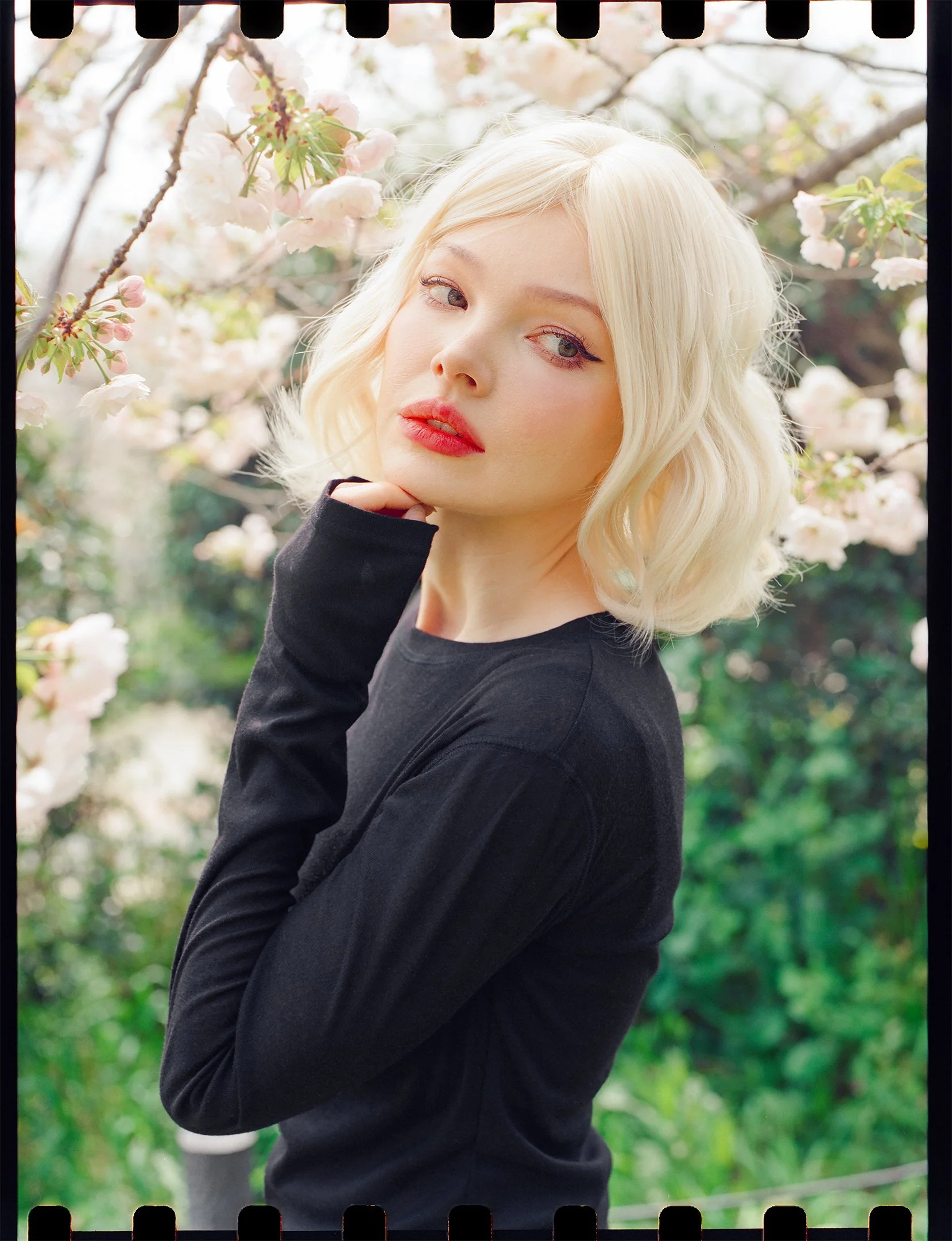 Lili-2.jpg