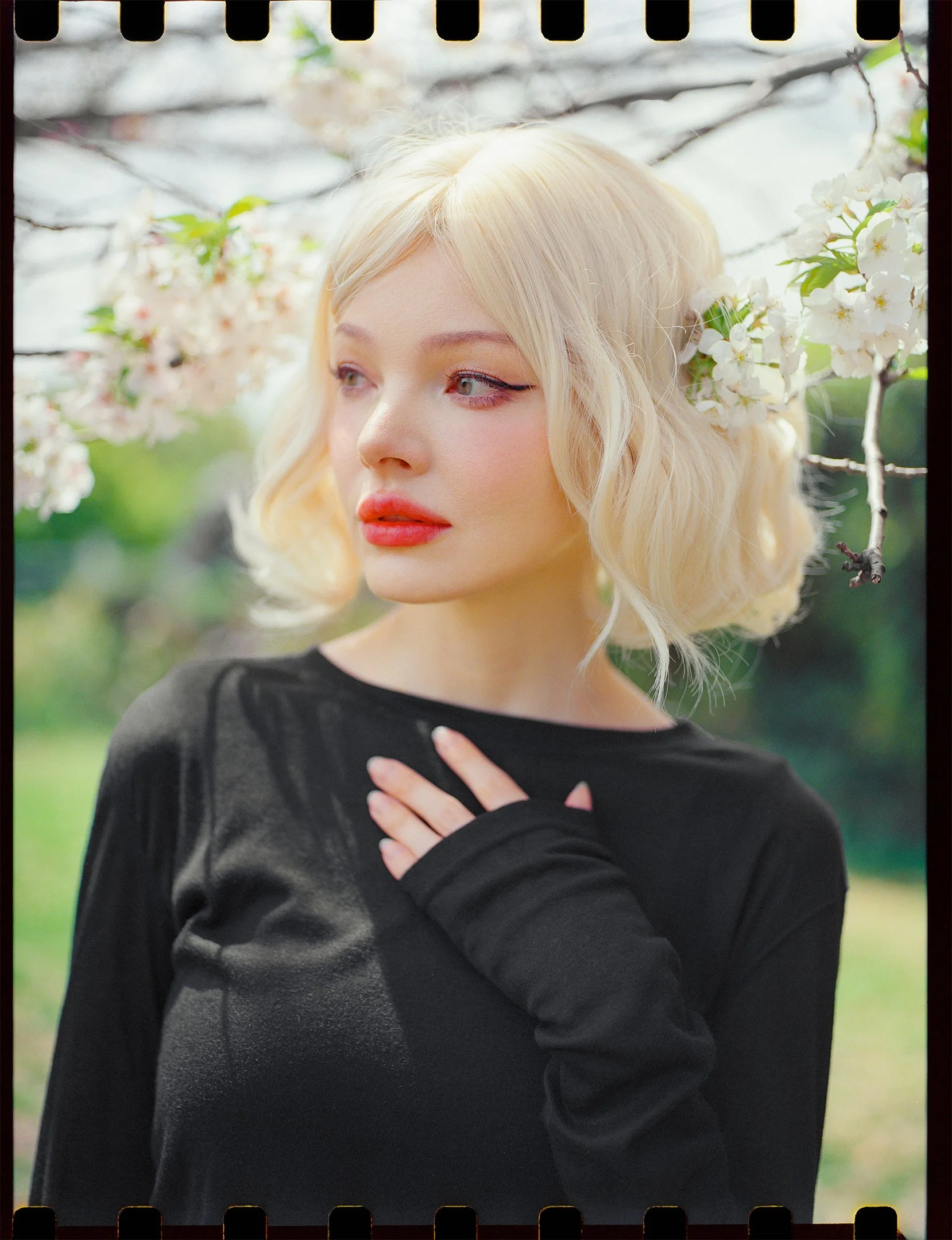 Lili-4.jpg