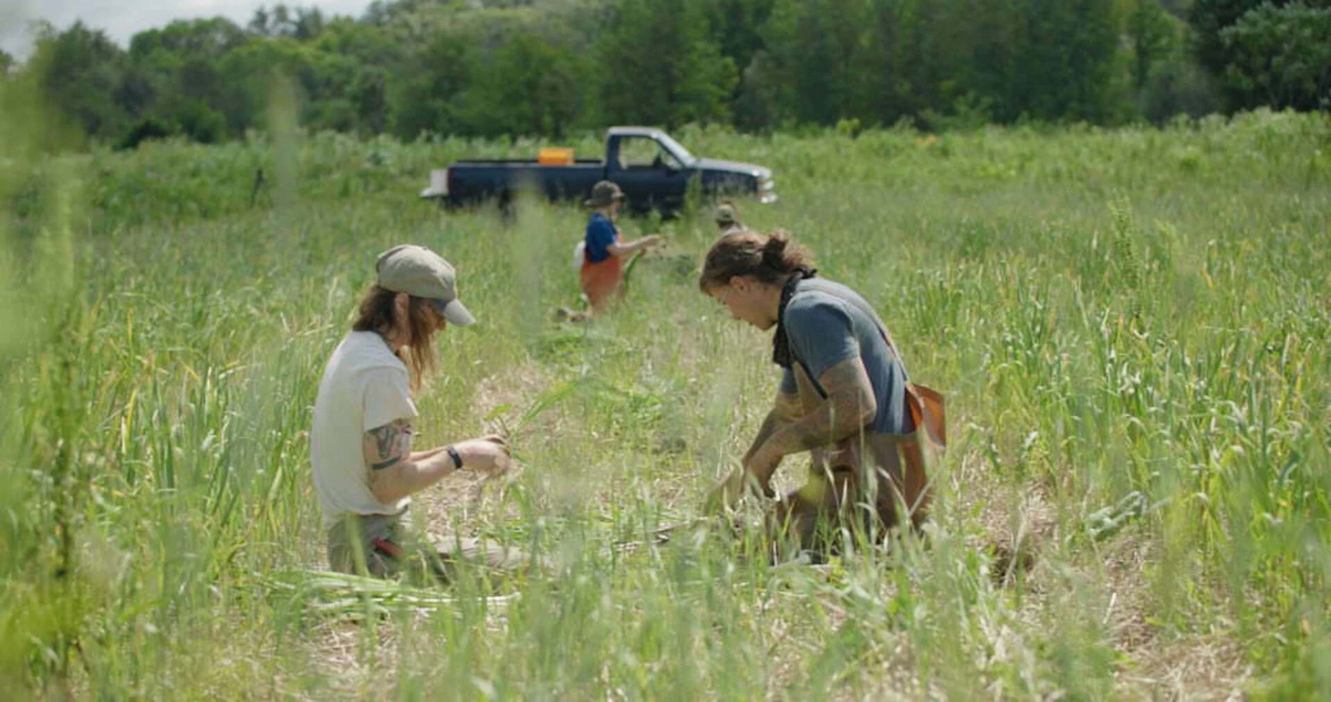 Connecting With the Landscape