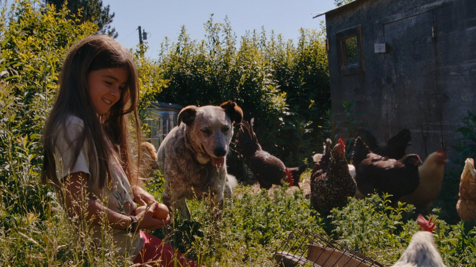 Turn Off The Machines