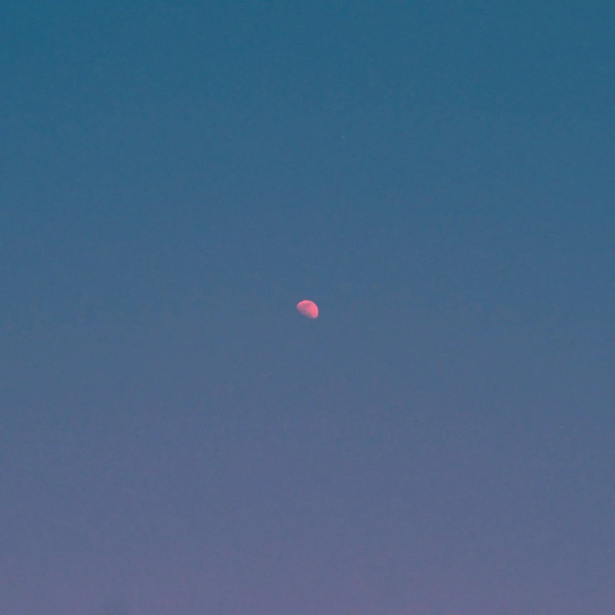  Tasha, "But There's Still The Moon" 